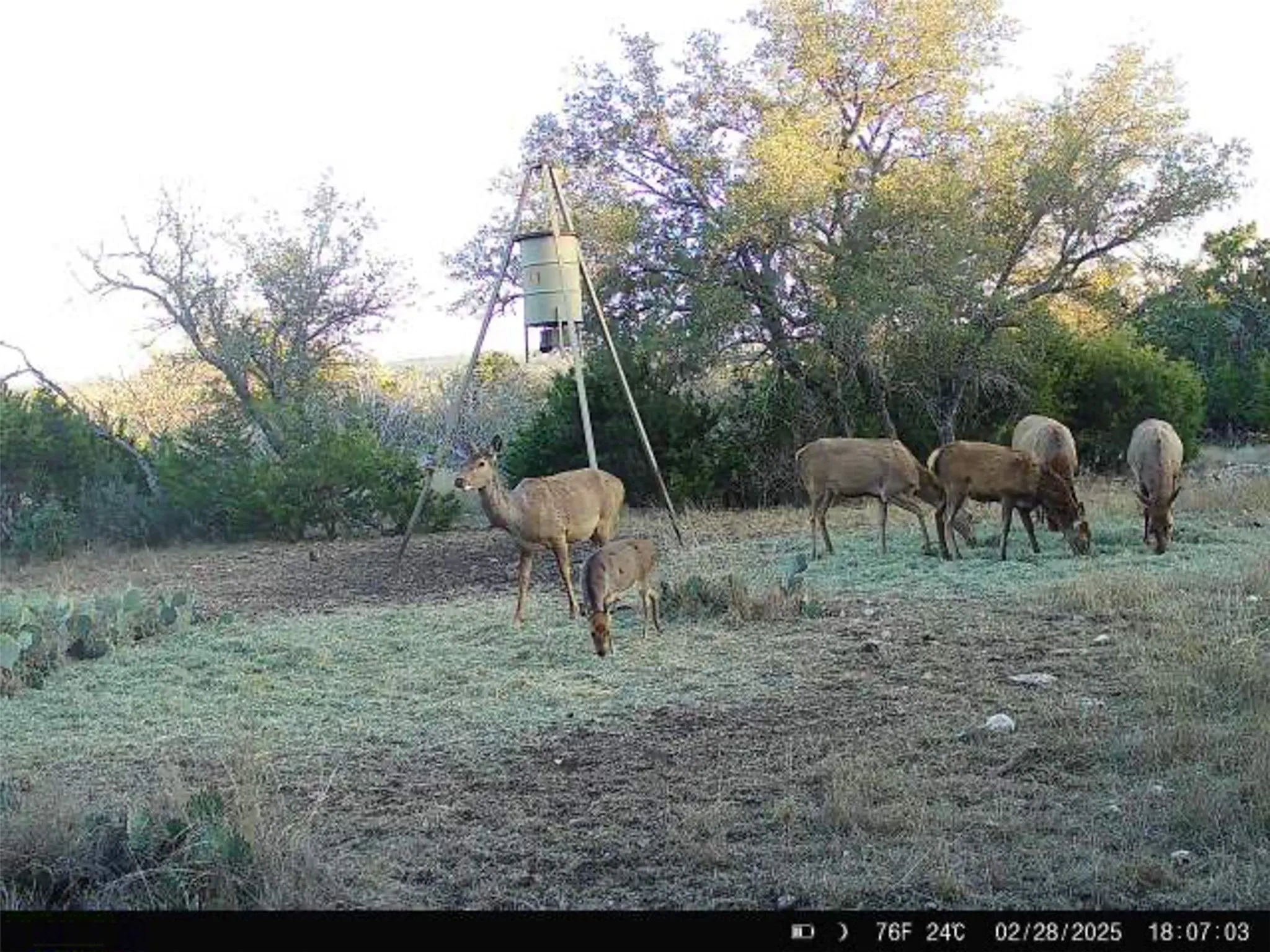 Ranch For Sale in Kerr County , 190 Pvt Rd 3019 NW, Mountain Home, Texas 76849, 0, 0, Garage spaces, 0 Sqft, built in 0, mls#21370562, Real Estate Agent in Mountain Home, Homes For Sale in Kerr county, Homes For Sale in Mountain Home, Realtor in Mountain Home Texas, Real Estate Brokerage Independent Realty Texas, Luminita Cordes Realtor