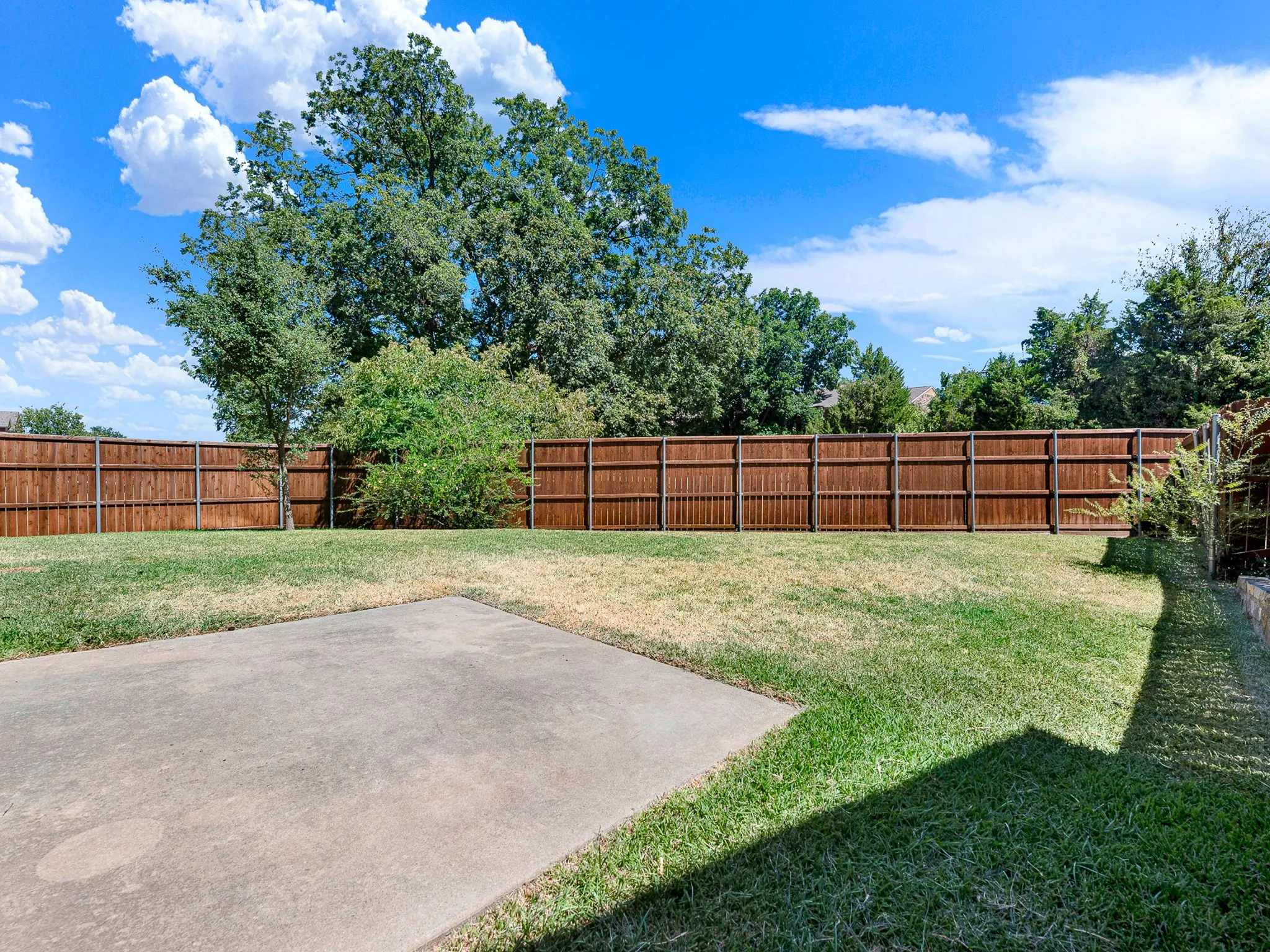 Backyard