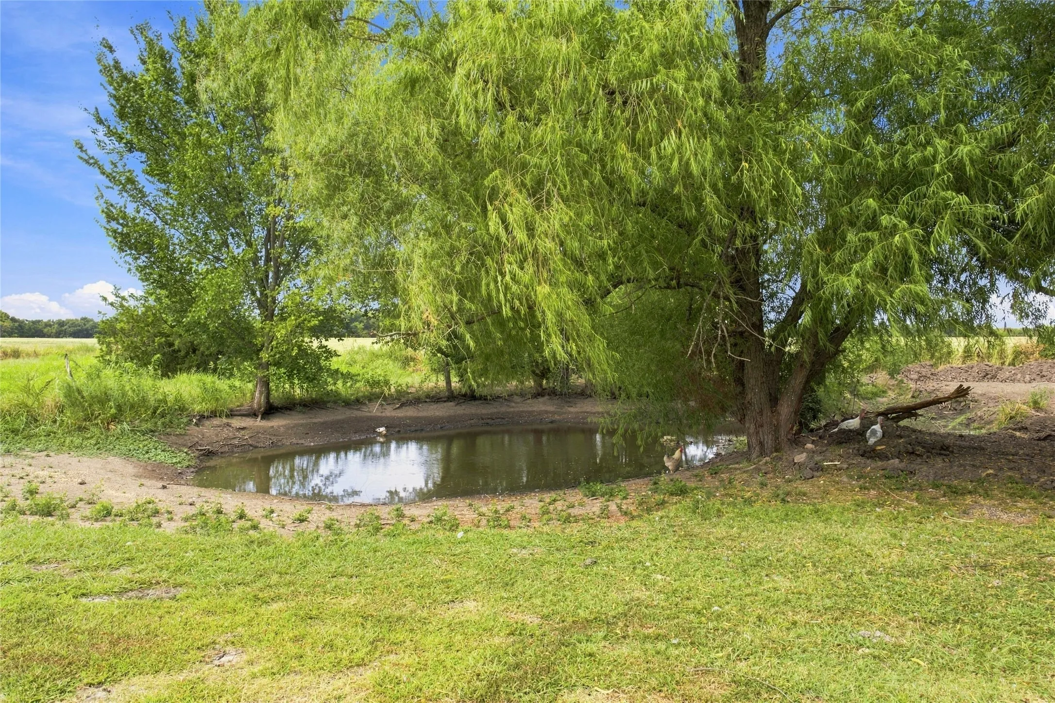 Single Family Residence For Sale in Lamar County , 1956 County Road 27100, Roxton, Texas 75477, 4 Bedroom, 3 Bathroom, 2 Garage spaces, 1,944 Sqft, built in 2011, mls#21370046, Real Estate Agent in Roxton, Homes For Sale in Lamar county, Homes For Sale in Roxton, Realtor in Roxton Texas, Real Estate Brokerage Independent Realty Texas, Luminita Cordes Realtor