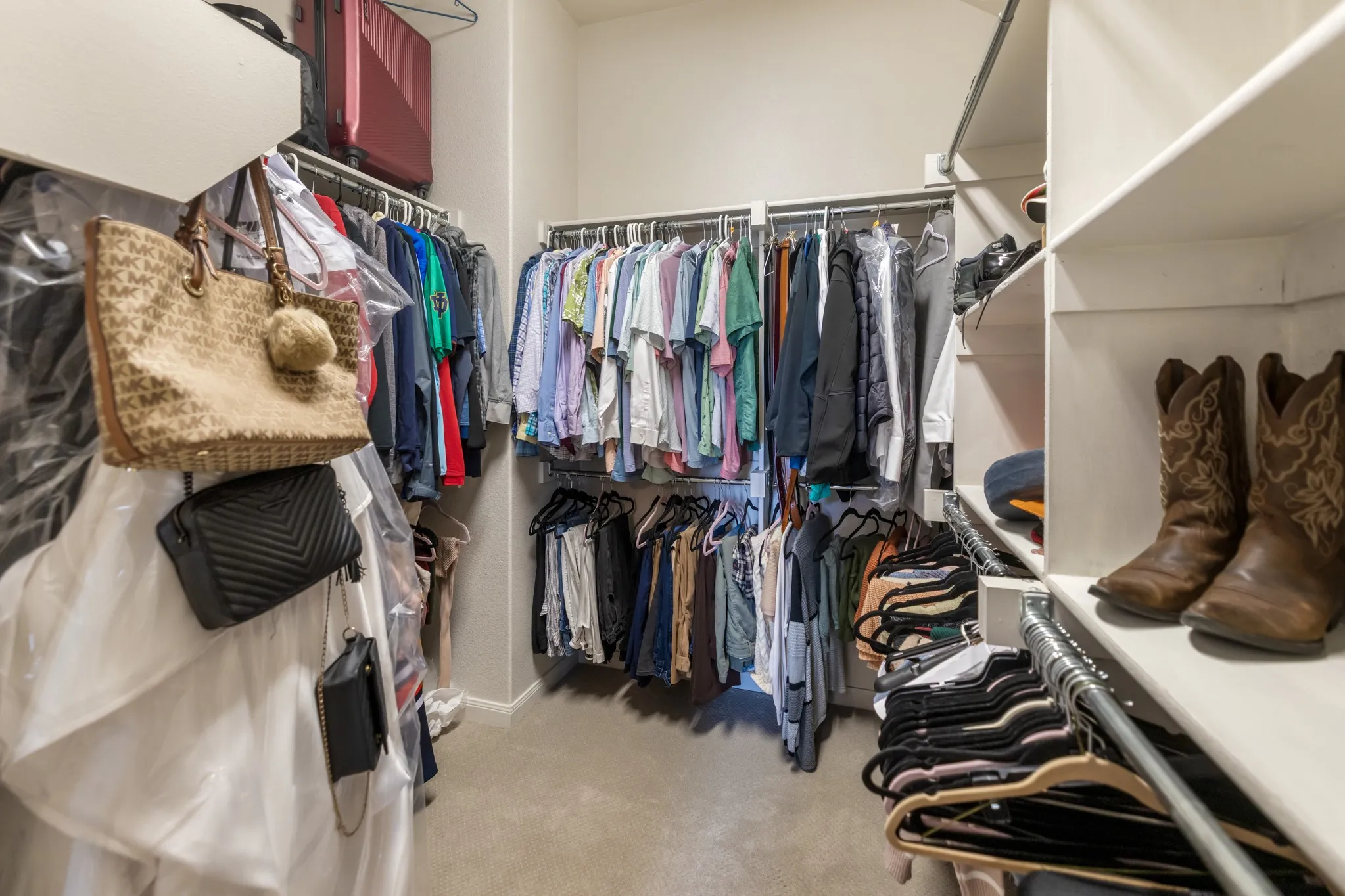 Walk-in closet featuring carpet flooring, built-in shelving, and multiple clothing rods