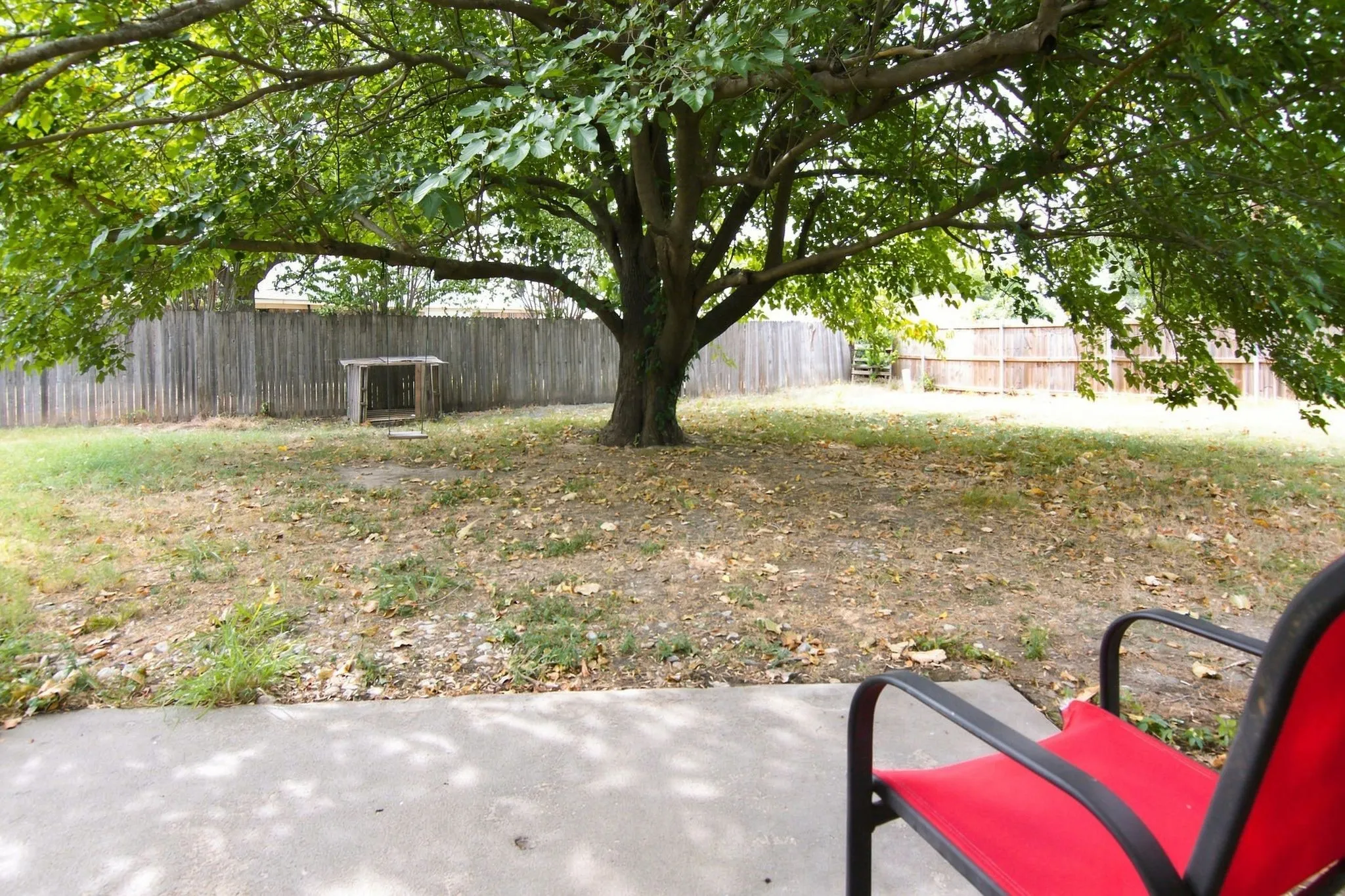 Expansive backyard featuring a mature shade tree, concrete patio, and perimeter fencing