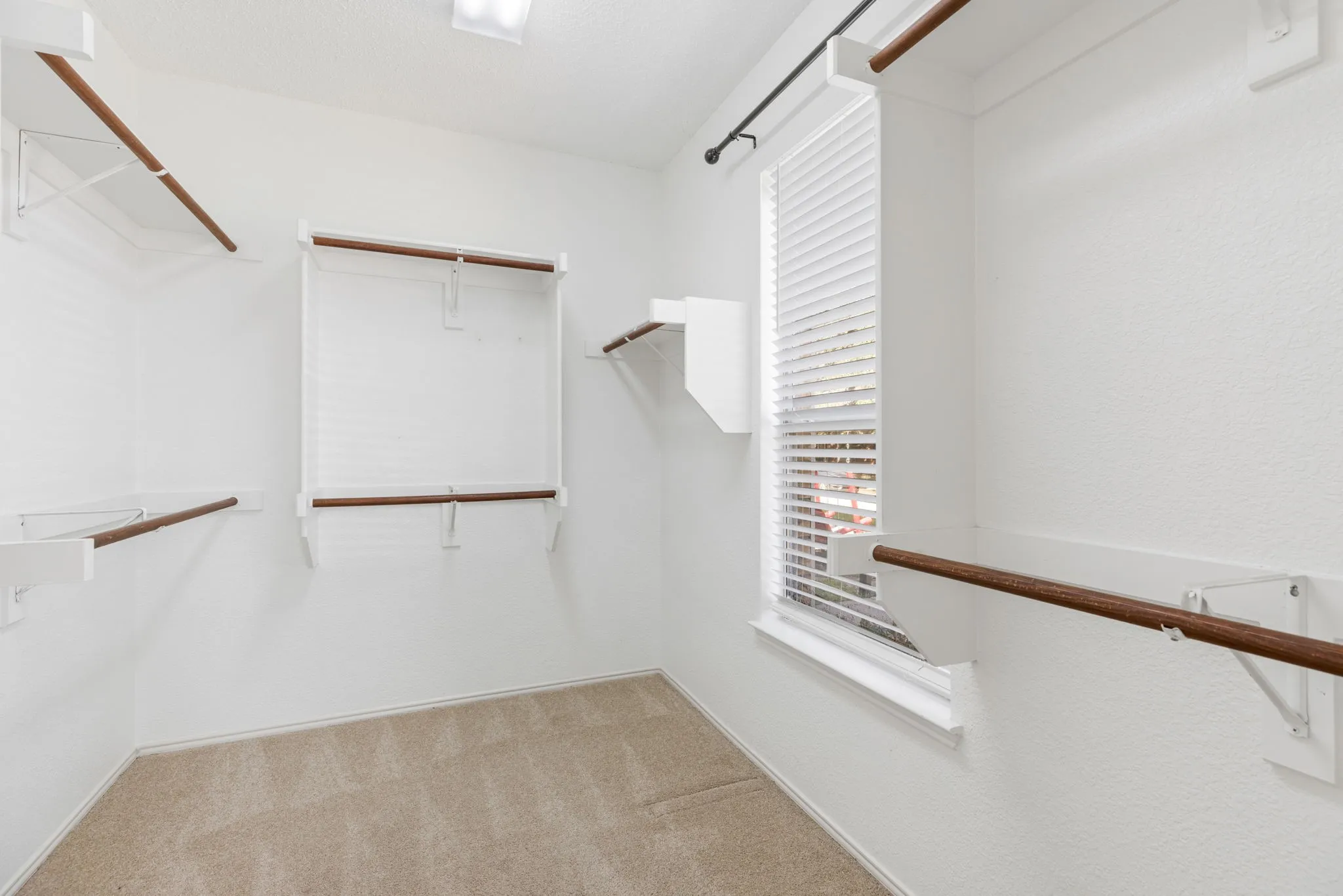 Walk-in closet with carpet flooring, multiple shelving units, wood-finish hanging rods, and a window with horizontal blinds