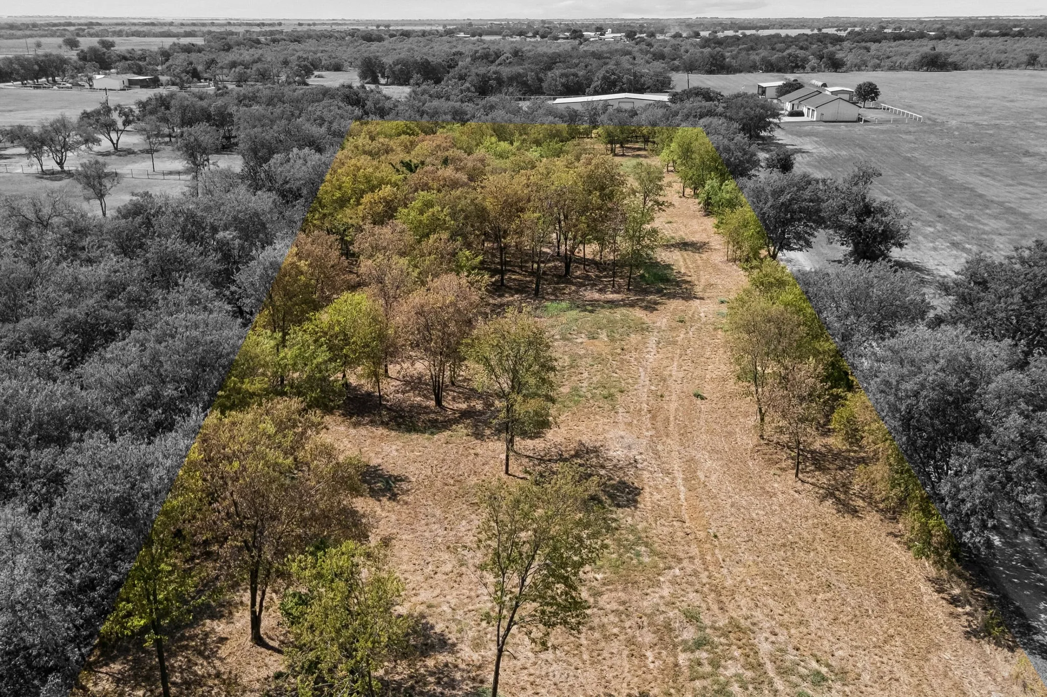 Single Family Residence For Sale in Grayson County , Lot 1 - 2.8 Acres Airport Road, Tioga, Texas 76271, 3 Bedroom, 3 Bathroom, 2 Garage spaces, 2,478 Sqft, built in 2026, mls#21369392, Real Estate Agent in Tioga, Homes For Sale in Grayson county, Homes For Sale in Tioga, Realtor in Tioga Texas, Real Estate Brokerage Independent Realty Texas, Luminita Cordes Realtor