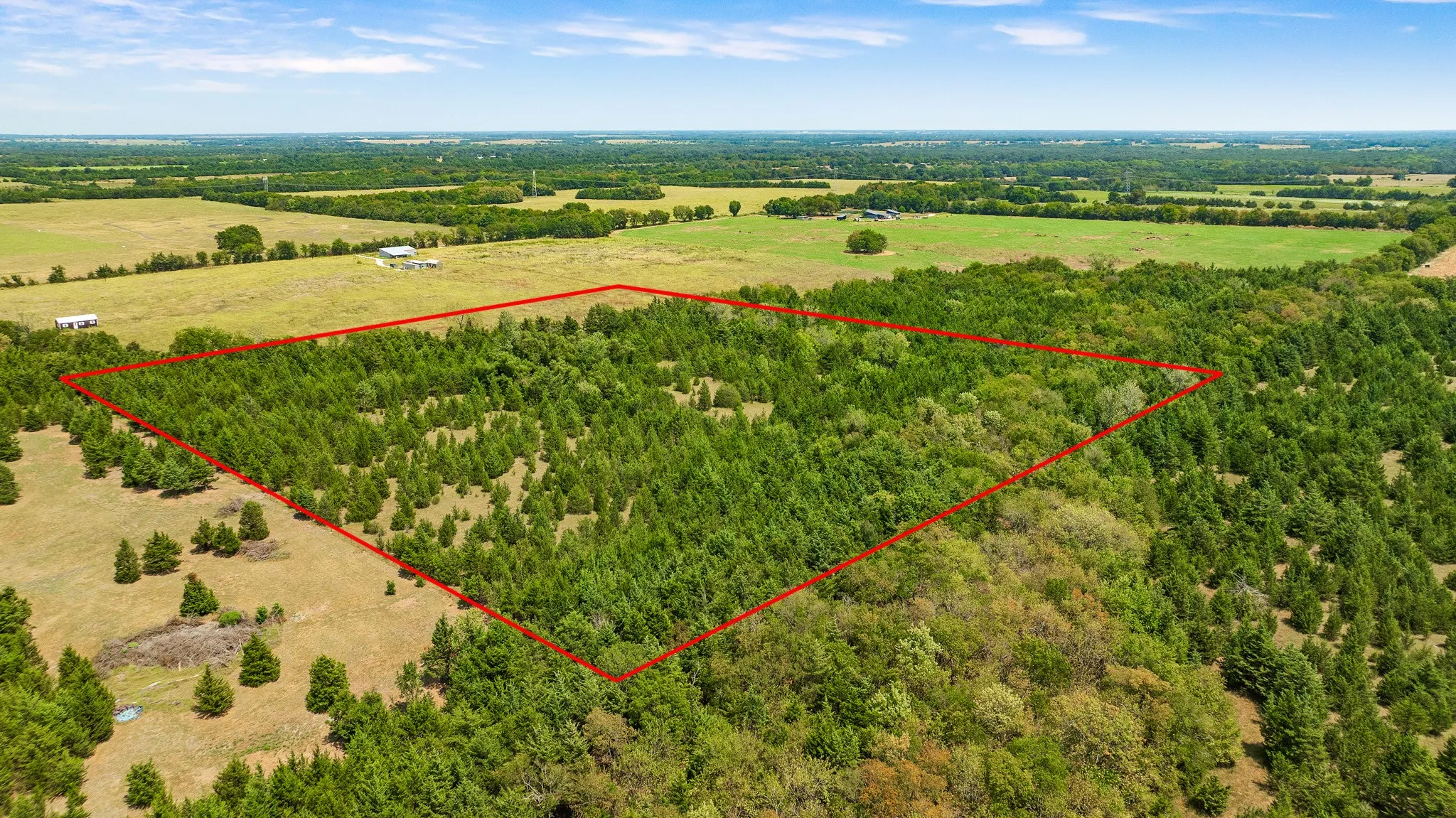 Unimproved Land For Sale in Lamar County , 00 County Road 13600, Paris, Texas 75462, 0, 0, Garage spaces, 0 Sqft, built in 0, mls#21367856, Real Estate Agent in Paris, Homes For Sale in Lamar county, Homes For Sale in Paris, Realtor in Paris Texas, Real Estate Brokerage Independent Realty Texas, Luminita Cordes Realtor