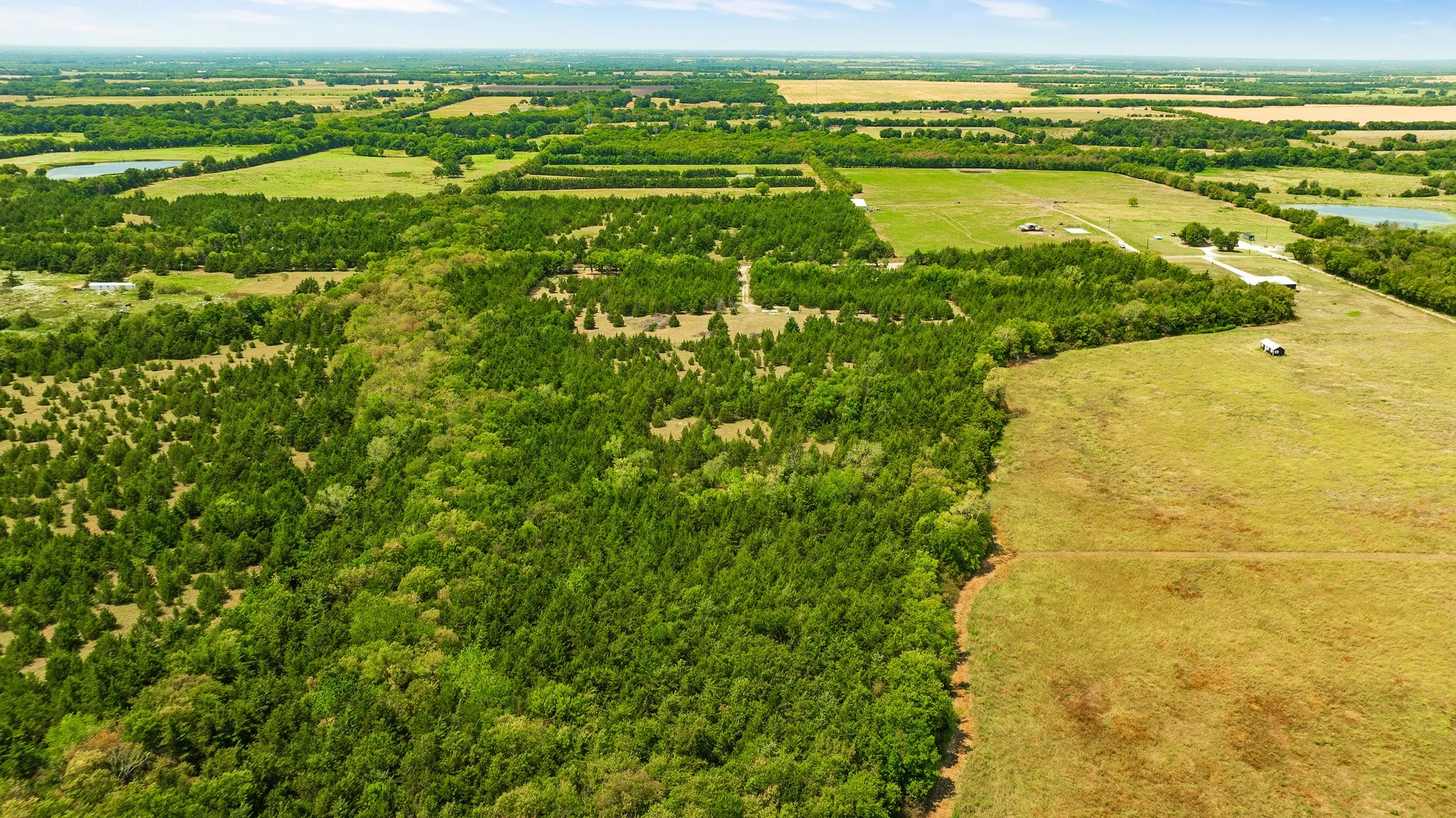 Unimproved Land For Sale in Lamar County , 00 County Road 13600, Paris, Texas 75462, 0, 0, Garage spaces, 0 Sqft, built in 0, mls#21367856, Real Estate Agent in Paris, Homes For Sale in Lamar county, Homes For Sale in Paris, Realtor in Paris Texas, Real Estate Brokerage Independent Realty Texas, Luminita Cordes Realtor