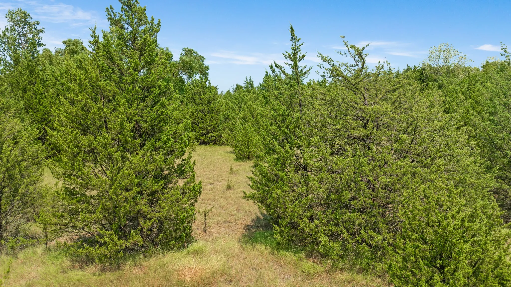 Unimproved Land For Sale in Lamar County , 00 County Road 13600, Paris, Texas 75462, 0, 0, Garage spaces, 0 Sqft, built in 0, mls#21367856, Real Estate Agent in Paris, Homes For Sale in Lamar county, Homes For Sale in Paris, Realtor in Paris Texas, Real Estate Brokerage Independent Realty Texas, Luminita Cordes Realtor