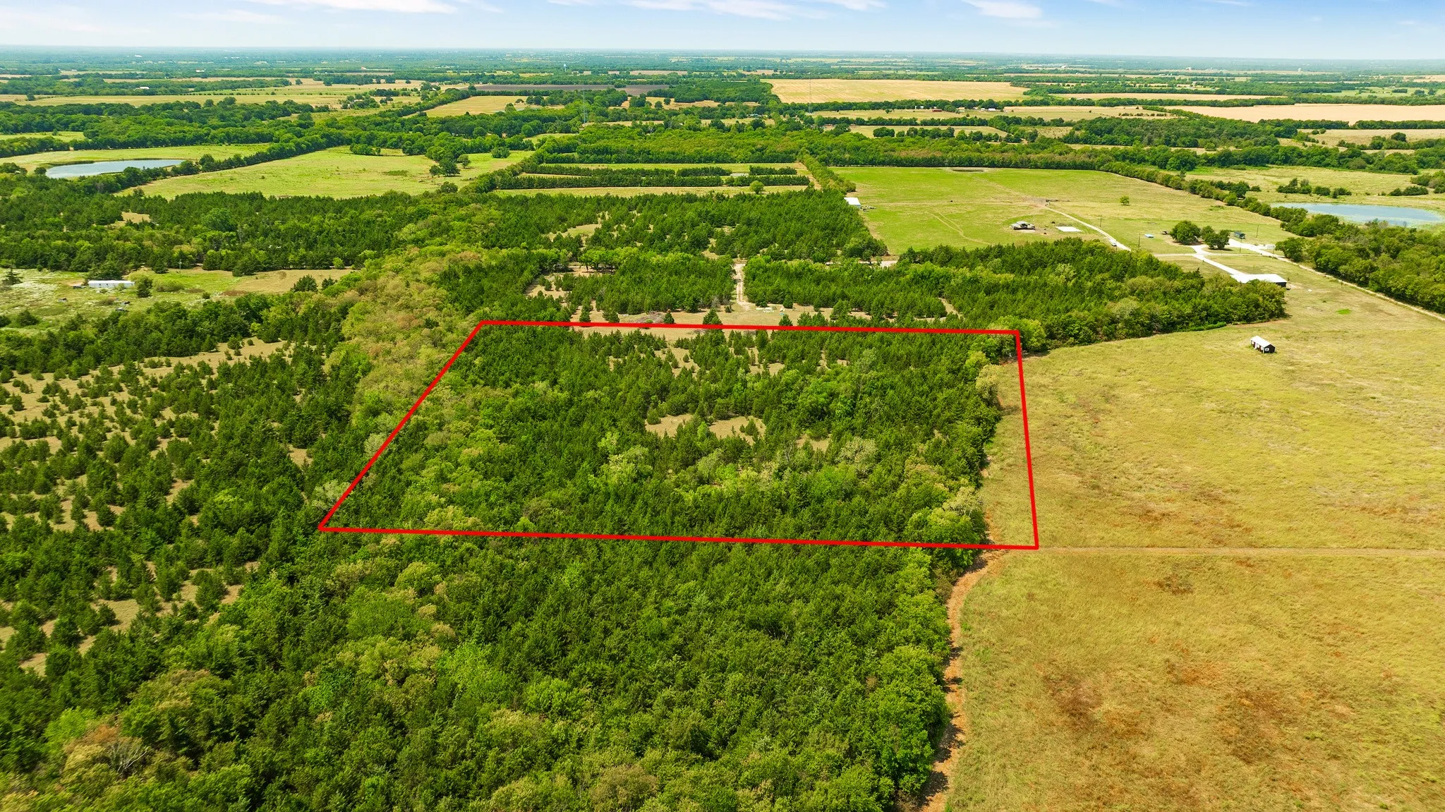 Unimproved Land For Sale in Lamar County , 00 County Road 13600, Paris, Texas 75462, 0, 0, Garage spaces, 0 Sqft, built in 0, mls#21367856, Real Estate Agent in Paris, Homes For Sale in Lamar county, Homes For Sale in Paris, Realtor in Paris Texas, Real Estate Brokerage Independent Realty Texas, Luminita Cordes Realtor
