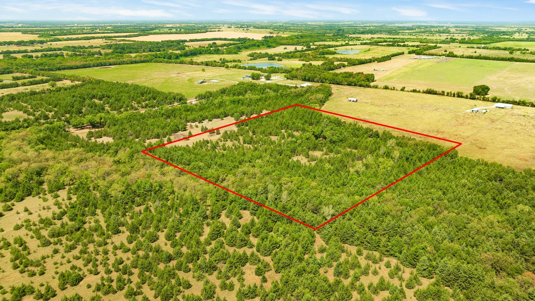 Unimproved Land For Sale in Lamar County , 00 County Road 13600, Paris, Texas 75462, 0, 0, Garage spaces, 0 Sqft, built in 0, mls#21367856, Real Estate Agent in Paris, Homes For Sale in Lamar county, Homes For Sale in Paris, Realtor in Paris Texas, Real Estate Brokerage Independent Realty Texas, Luminita Cordes Realtor