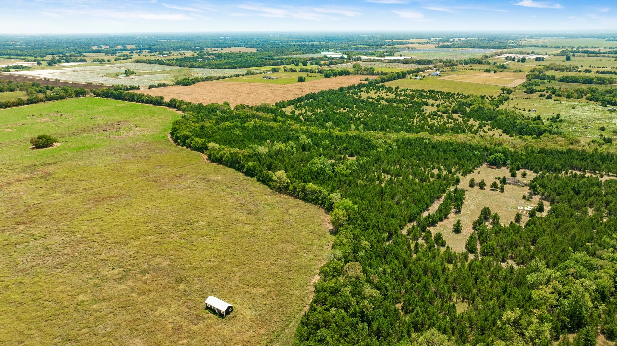 Unimproved Land For Sale in Lamar County , 00 County Road 13600, Paris, Texas 75462, 0, 0, Garage spaces, 0 Sqft, built in 0, mls#21367856, Real Estate Agent in Paris, Homes For Sale in Lamar county, Homes For Sale in Paris, Realtor in Paris Texas, Real Estate Brokerage Independent Realty Texas, Luminita Cordes Realtor