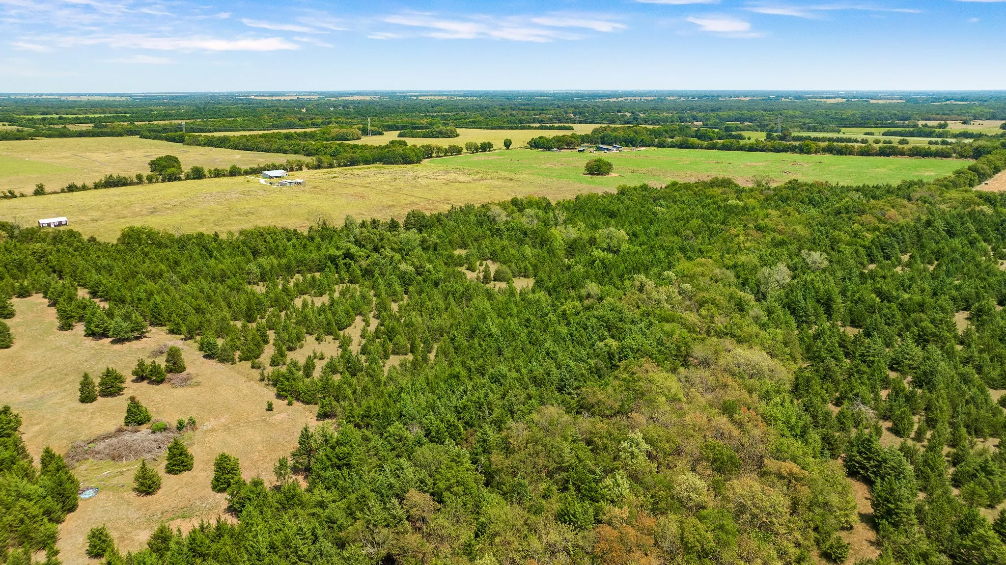 Unimproved Land For Sale in Lamar County , 00 County Road 13600, Paris, Texas 75462, 0, 0, Garage spaces, 0 Sqft, built in 0, mls#21367856, Real Estate Agent in Paris, Homes For Sale in Lamar county, Homes For Sale in Paris, Realtor in Paris Texas, Real Estate Brokerage Independent Realty Texas, Luminita Cordes Realtor