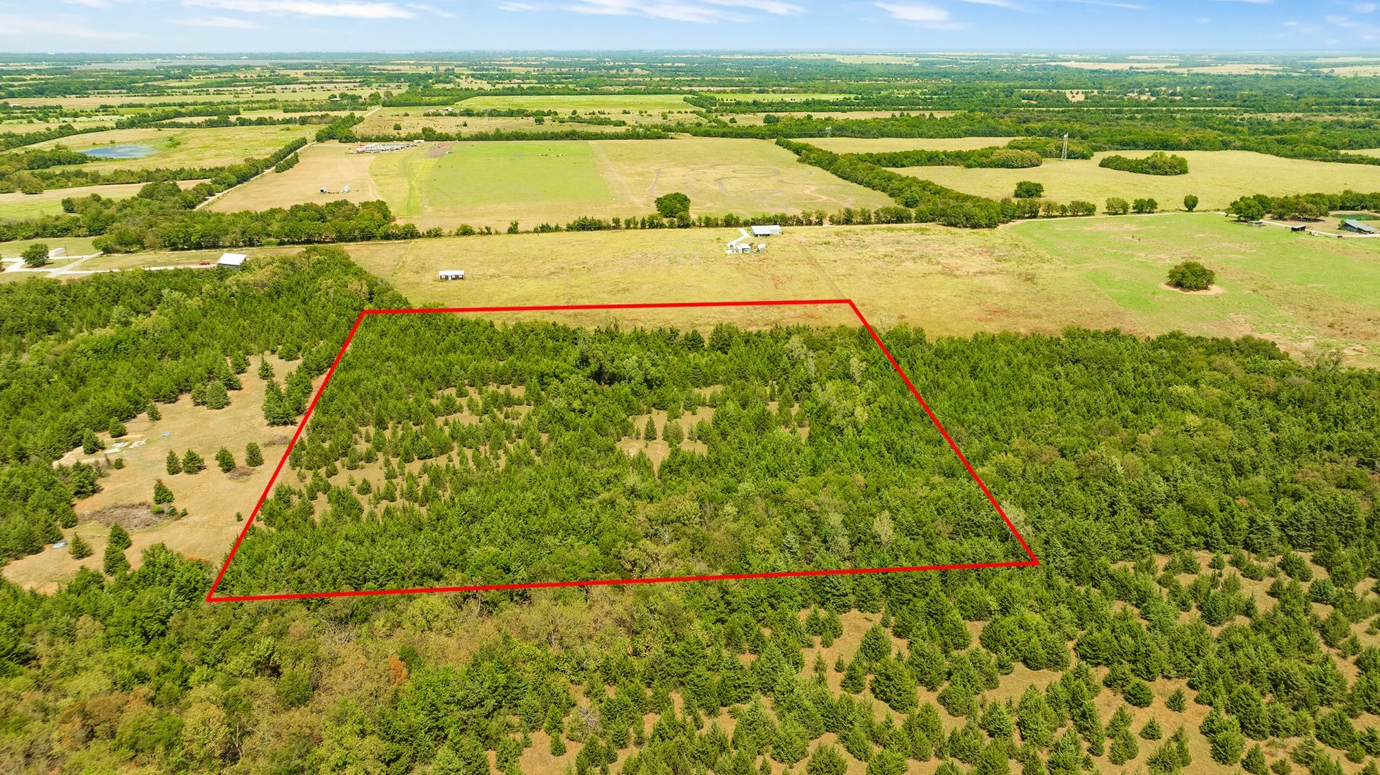 Unimproved Land For Sale in Lamar County , 00 County Road 13600, Paris, Texas 75462, 0, 0, Garage spaces, 0 Sqft, built in 0, mls#21367856, Real Estate Agent in Paris, Homes For Sale in Lamar county, Homes For Sale in Paris, Realtor in Paris Texas, Real Estate Brokerage Independent Realty Texas, Luminita Cordes Realtor