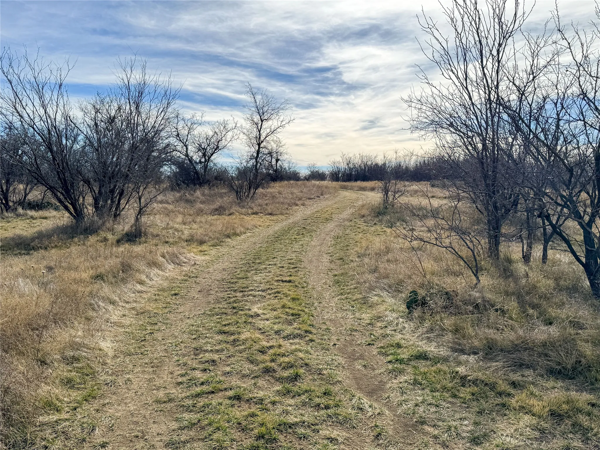 Ranch For Sale in Callahan County , 10674 County Road 312, Moran, Texas 76464, 0, 0, Garage spaces, 0 Sqft, built in 0, mls#21368128, Real Estate Agent in Moran, Homes For Sale in Callahan county, Homes For Sale in Moran, Realtor in Moran Texas, Real Estate Brokerage Independent Realty Texas, Luminita Cordes Realtor