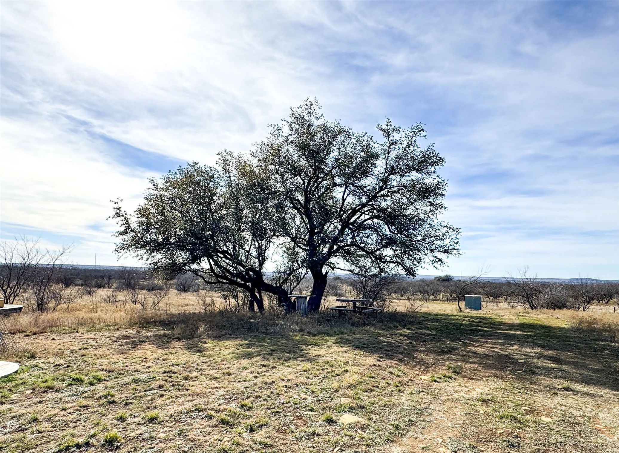 Ranch For Sale in Callahan County , 10674 County Road 312, Moran, Texas 76464, 0, 0, Garage spaces, 0 Sqft, built in 0, mls#21368128, Real Estate Agent in Moran, Homes For Sale in Callahan county, Homes For Sale in Moran, Realtor in Moran Texas, Real Estate Brokerage Independent Realty Texas, Luminita Cordes Realtor
