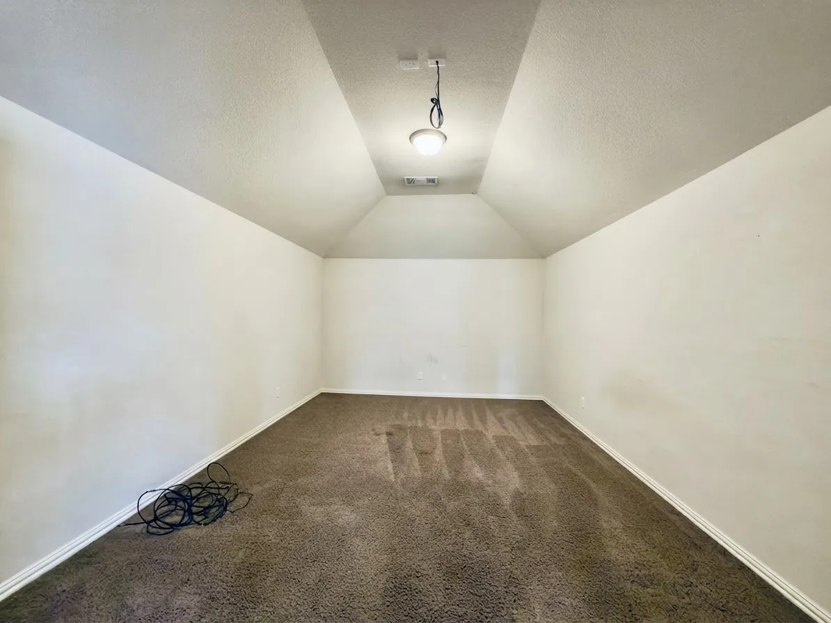 Vaulted ceiling with a central ceiling light fixture and wall-to-wall carpeting
