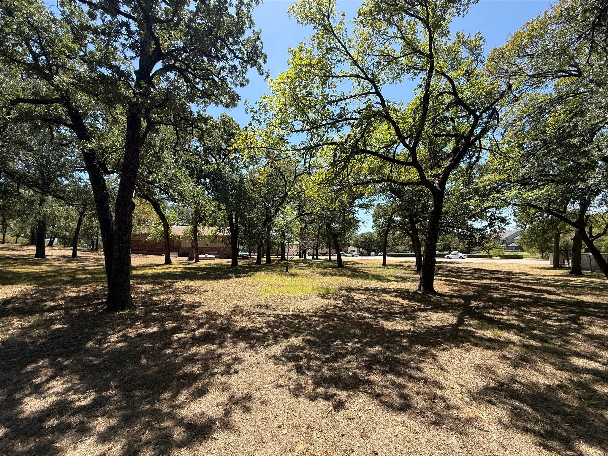 Land lot featuring extensive tree coverage, natural ground cover, and dappled sunlight