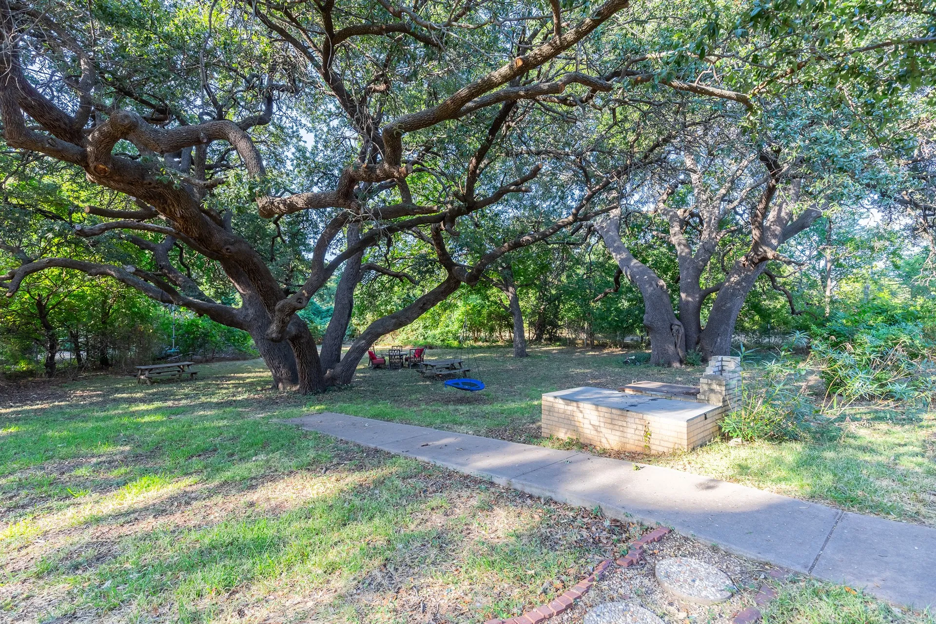 Well, grill and Backyard Oak spot