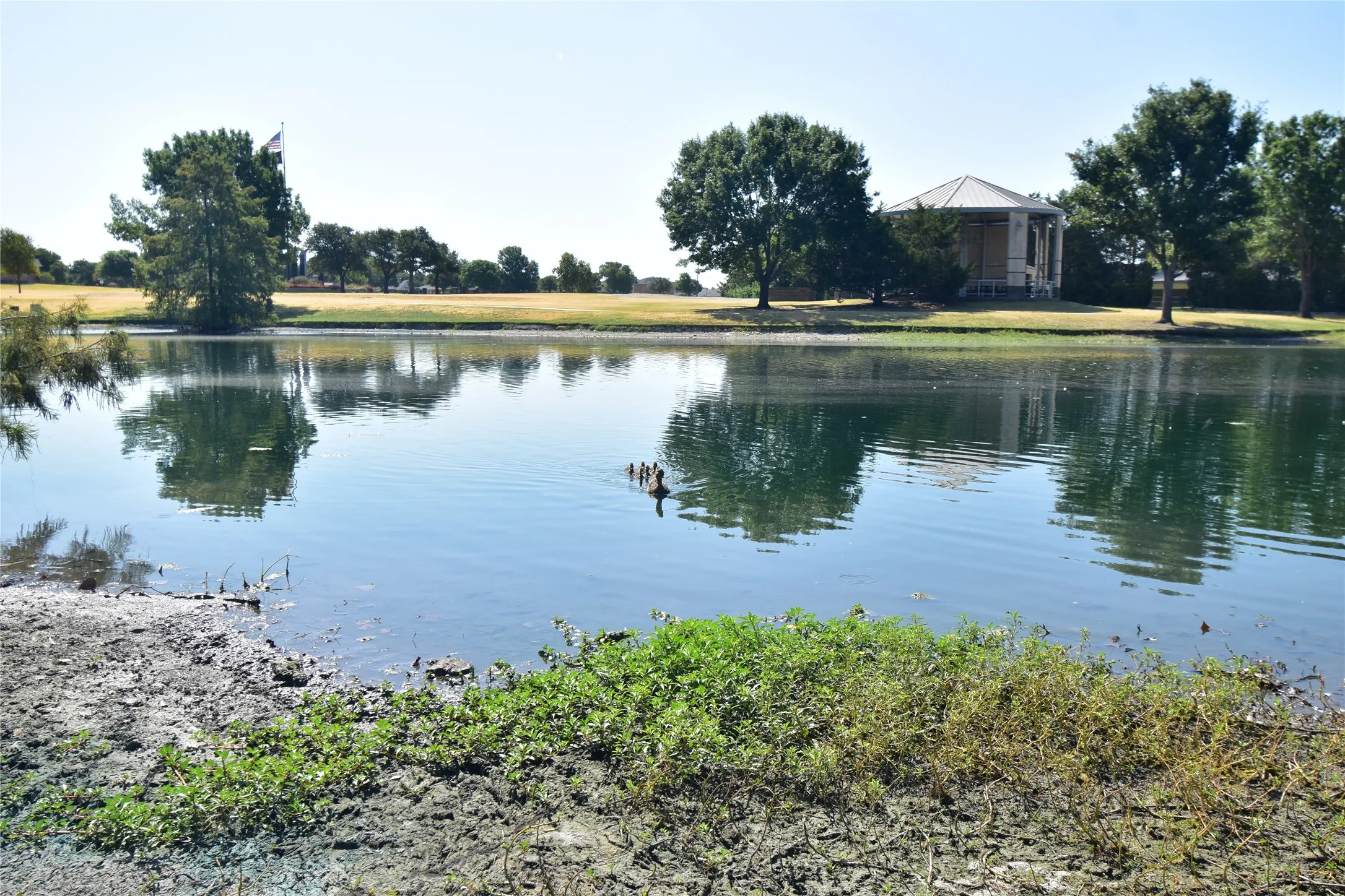 Single Family Residence For Sale in Collin County , 1109 Shadow Lakes Boulevard, Allen, Texas 75002, 4 Bedroom, 2 Bathroom, 2 Garage spaces, 2,031 Sqft, built in 1993, mls#21370265, Real Estate Agent in Allen, Homes For Sale in Collin county, Homes For Sale in Allen, Realtor in Allen Texas, Real Estate Brokerage Independent Realty Texas, Luminita Cordes Realtor