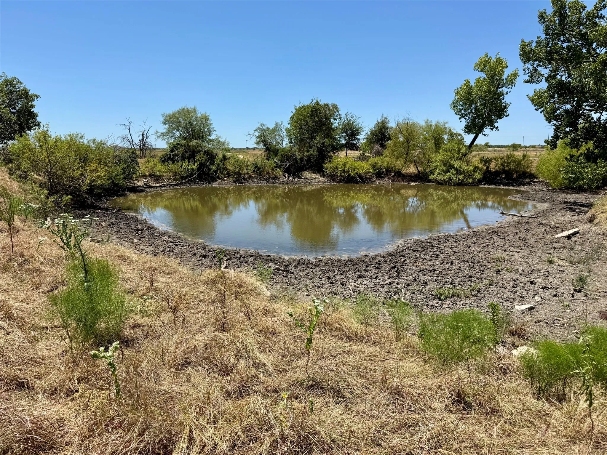 Ranch For Sale in Hamilton County , 8001-L Fm 932, Hamilton, Texas 76531, 0, 0, Garage spaces, 0 Sqft, built in 1930, mls#21370712, Real Estate Agent in Hamilton, Homes For Sale in Hamilton county, Homes For Sale in Hamilton, Realtor in Hamilton Texas, Real Estate Brokerage Independent Realty Texas, Luminita Cordes Realtor