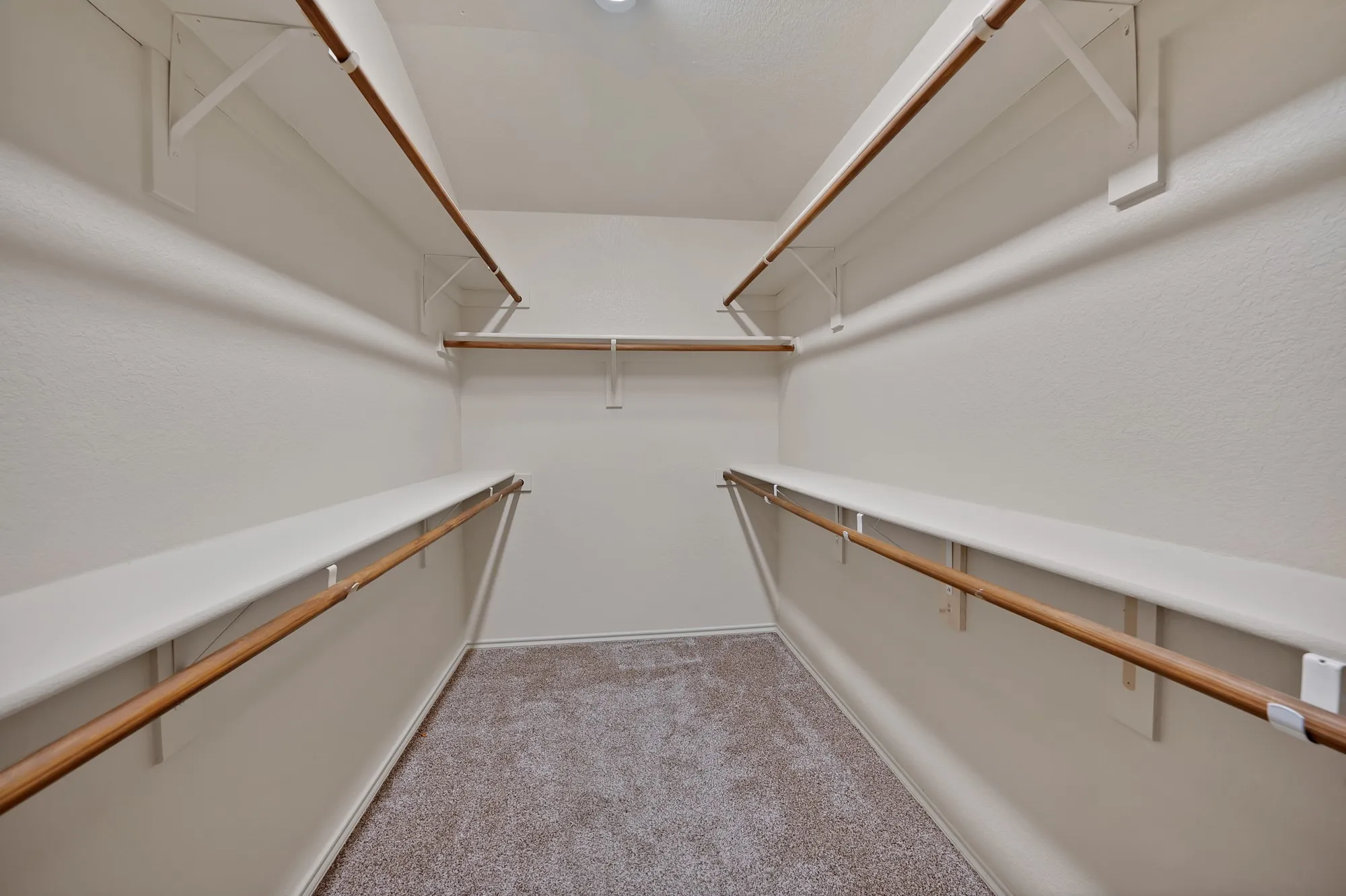 Walk-in closet featuring carpet flooring, built-in shelving, and multiple clothing rods