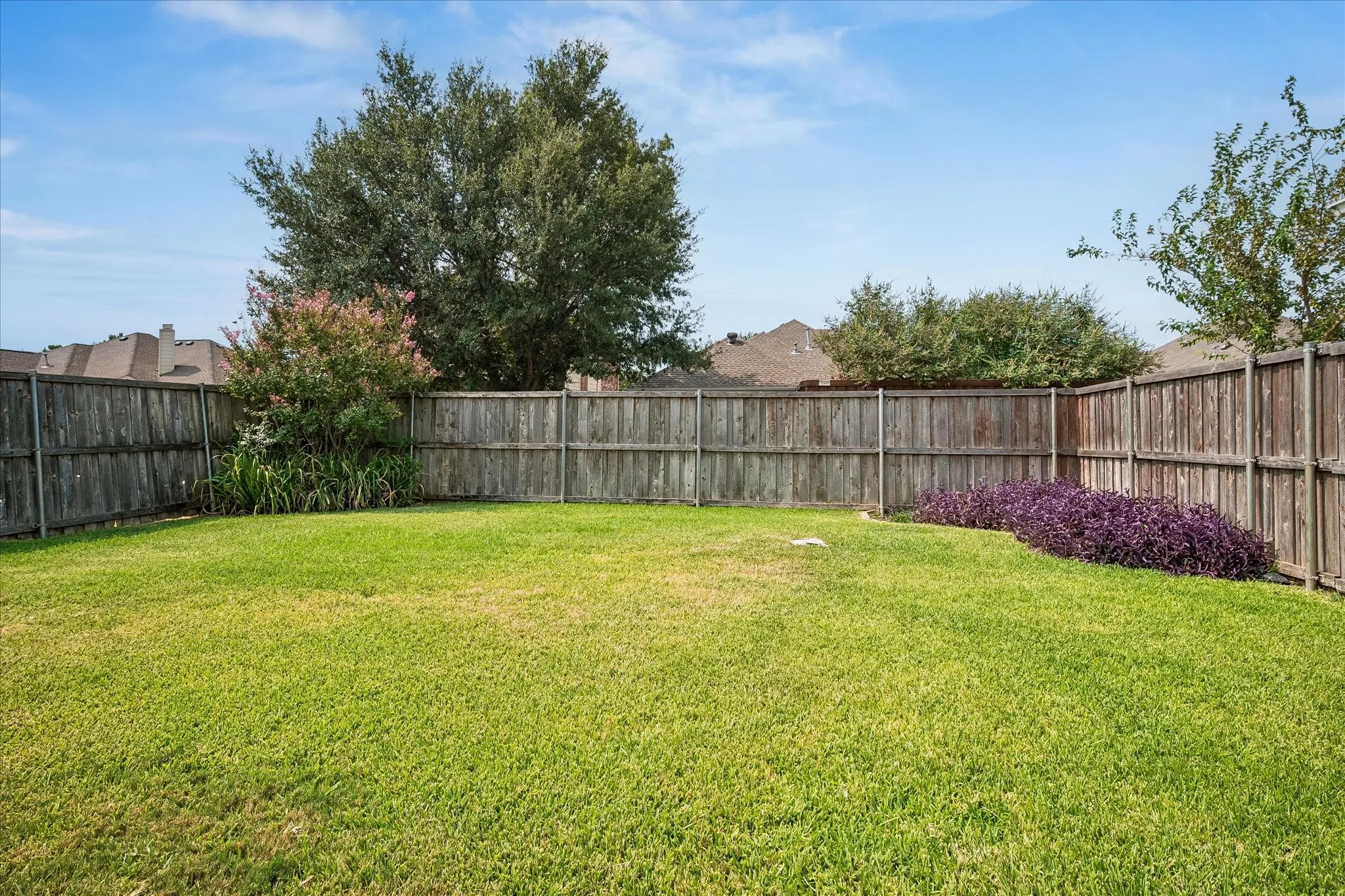 Large backyard