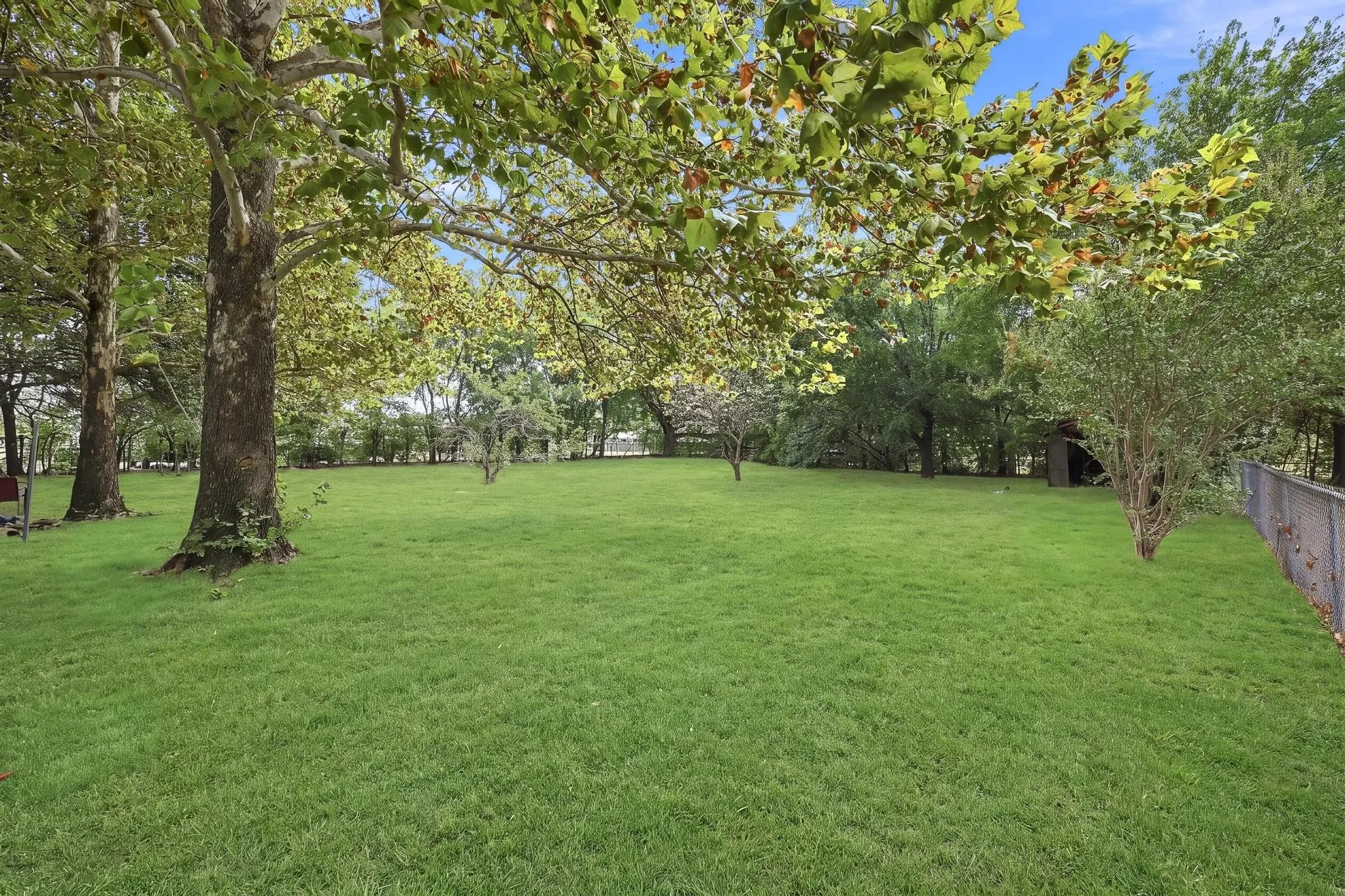 Expansive grassy lawn with mature trees, established landscaping, and a chain-link fence