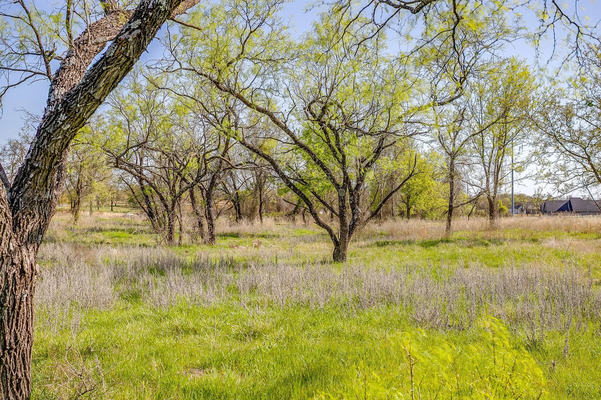Unimproved Land For Sale in Parker County , 113 Dan Russell Bend, Weatherford, Texas 76087, 0, 0, Garage spaces, 0 Sqft, built in 0, mls#21370737, Real Estate Agent in Weatherford, Homes For Sale in Parker county, Homes For Sale in Weatherford, Realtor in Weatherford Texas, Real Estate Brokerage Independent Realty Texas, Luminita Cordes Realtor