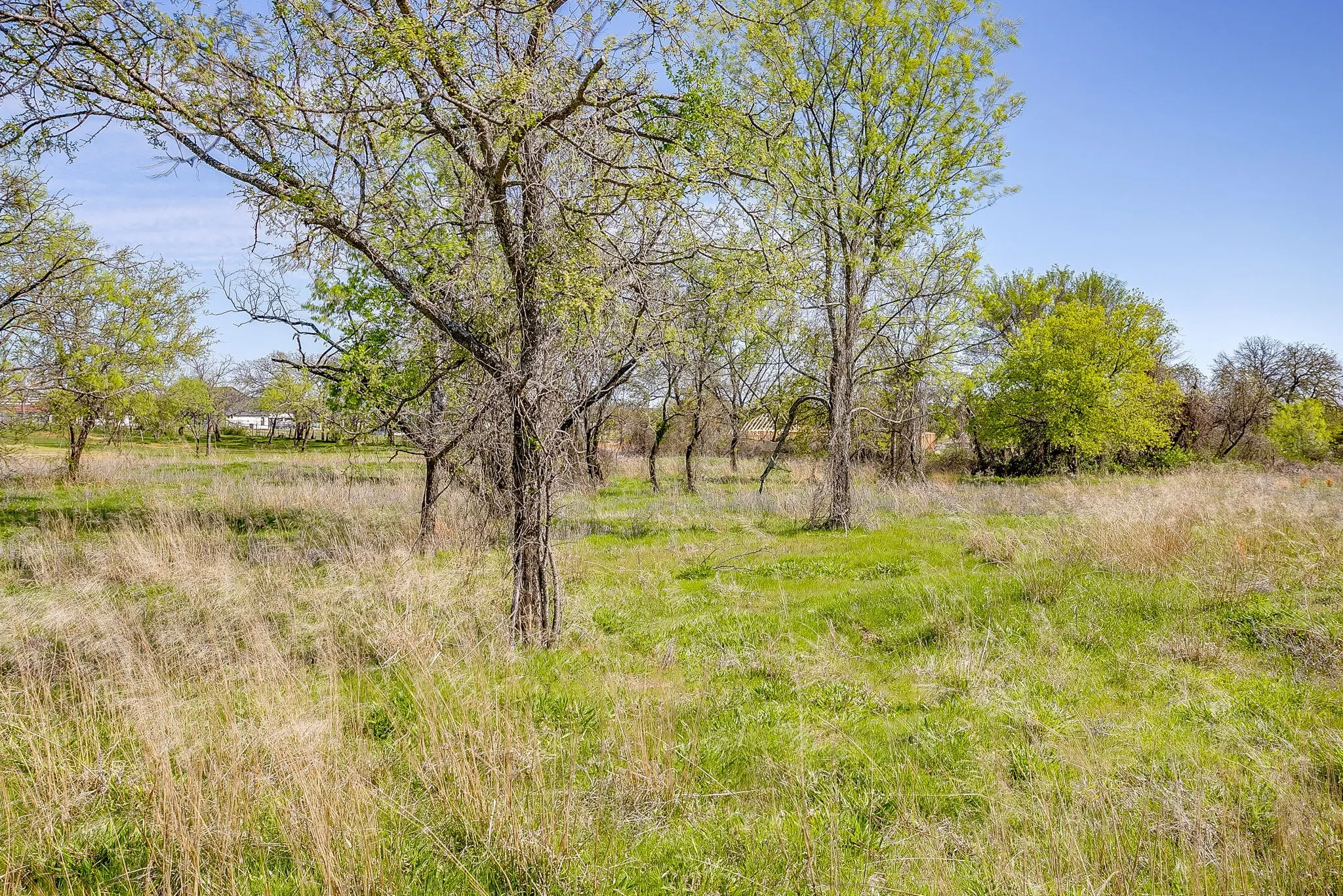 Unimproved Land For Sale in Parker County , 113 Dan Russell Bend, Weatherford, Texas 76087, 0, 0, Garage spaces, 0 Sqft, built in 0, mls#21370737, Real Estate Agent in Weatherford, Homes For Sale in Parker county, Homes For Sale in Weatherford, Realtor in Weatherford Texas, Real Estate Brokerage Independent Realty Texas, Luminita Cordes Realtor