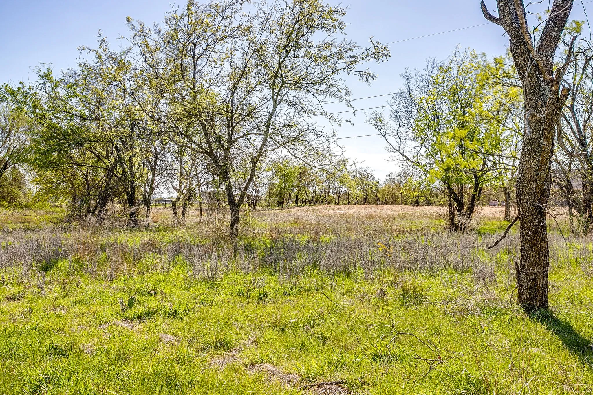 Unimproved Land For Sale in Parker County , 113 Dan Russell Bend, Weatherford, Texas 76087, 0, 0, Garage spaces, 0 Sqft, built in 0, mls#21370737, Real Estate Agent in Weatherford, Homes For Sale in Parker county, Homes For Sale in Weatherford, Realtor in Weatherford Texas, Real Estate Brokerage Independent Realty Texas, Luminita Cordes Realtor