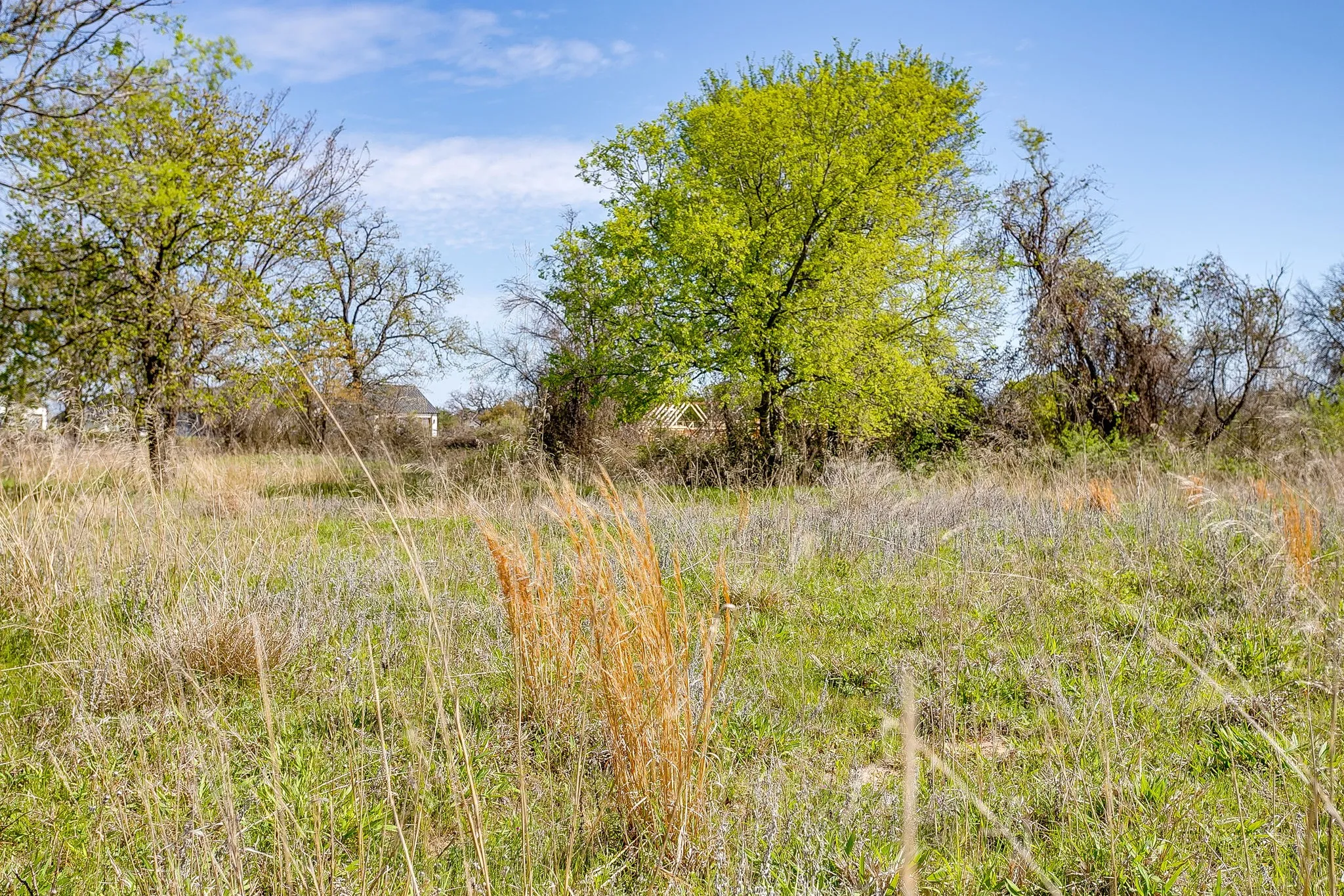 Unimproved Land For Sale in Parker County , 113 Dan Russell Bend, Weatherford, Texas 76087, 0, 0, Garage spaces, 0 Sqft, built in 0, mls#21370737, Real Estate Agent in Weatherford, Homes For Sale in Parker county, Homes For Sale in Weatherford, Realtor in Weatherford Texas, Real Estate Brokerage Independent Realty Texas, Luminita Cordes Realtor