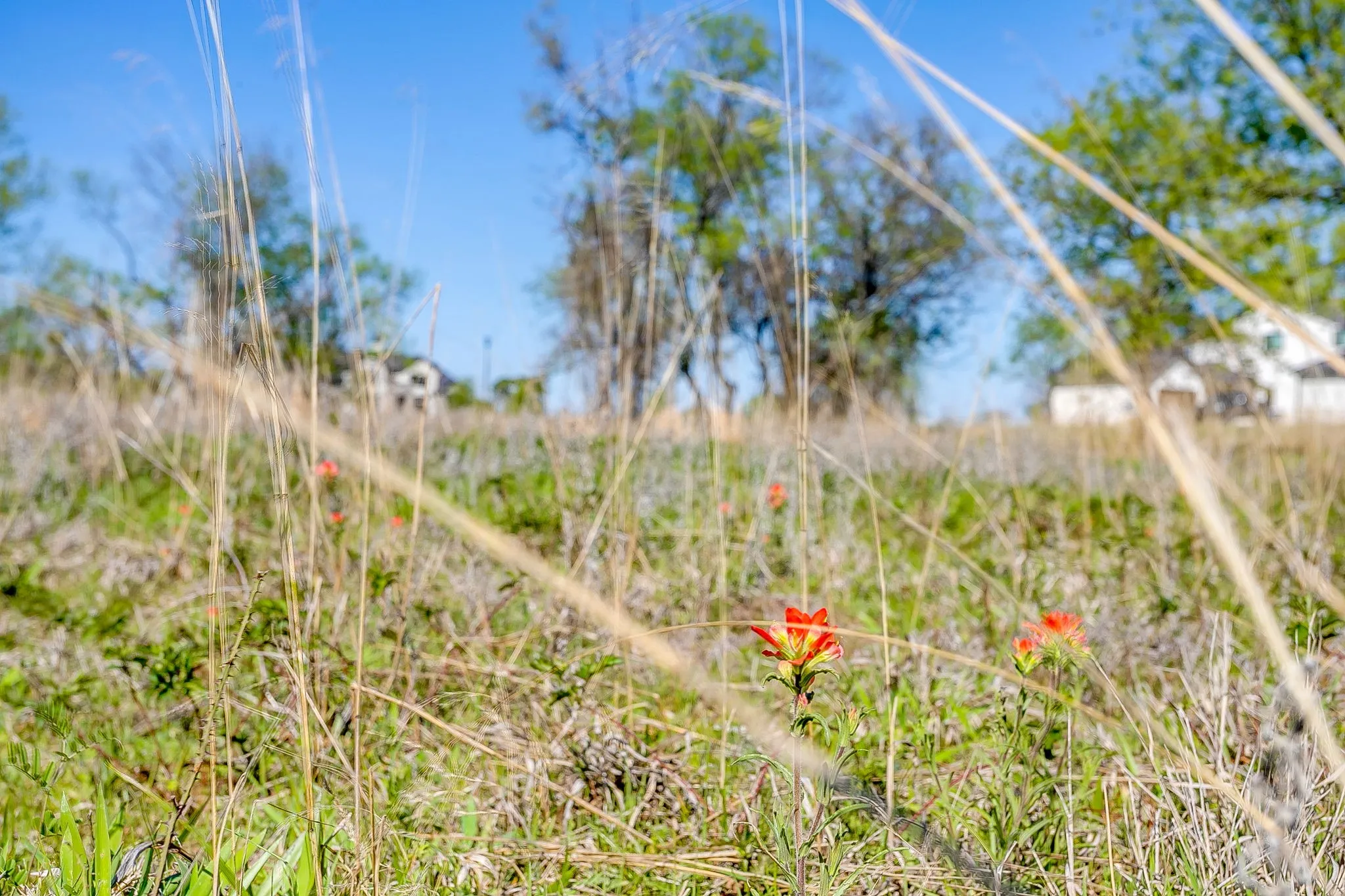 Unimproved Land For Sale in Parker County , 113 Dan Russell Bend, Weatherford, Texas 76087, 0, 0, Garage spaces, 0 Sqft, built in 0, mls#21370737, Real Estate Agent in Weatherford, Homes For Sale in Parker county, Homes For Sale in Weatherford, Realtor in Weatherford Texas, Real Estate Brokerage Independent Realty Texas, Luminita Cordes Realtor