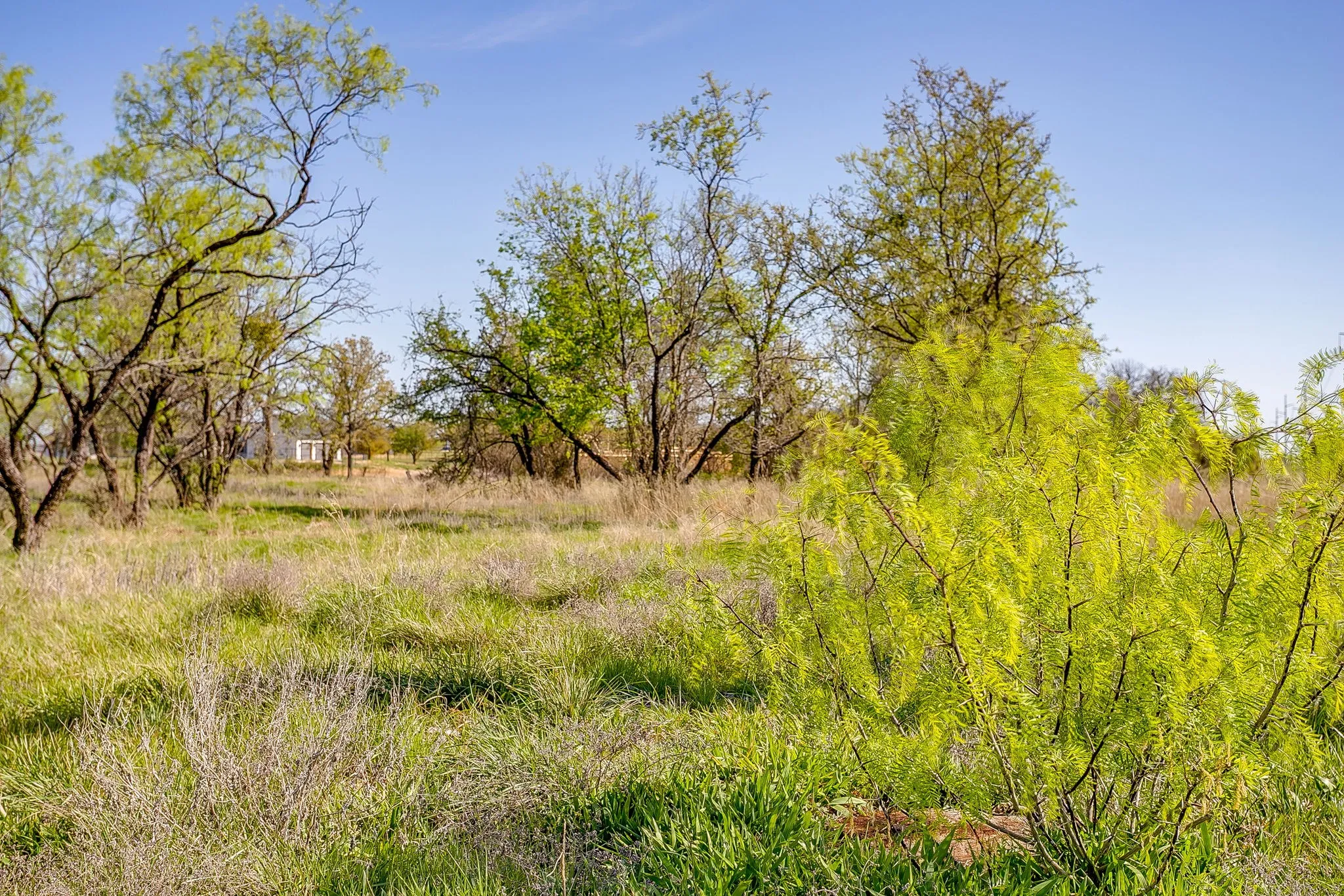 Unimproved Land For Sale in Parker County , 113 Dan Russell Bend, Weatherford, Texas 76087, 0, 0, Garage spaces, 0 Sqft, built in 0, mls#21370737, Real Estate Agent in Weatherford, Homes For Sale in Parker county, Homes For Sale in Weatherford, Realtor in Weatherford Texas, Real Estate Brokerage Independent Realty Texas, Luminita Cordes Realtor