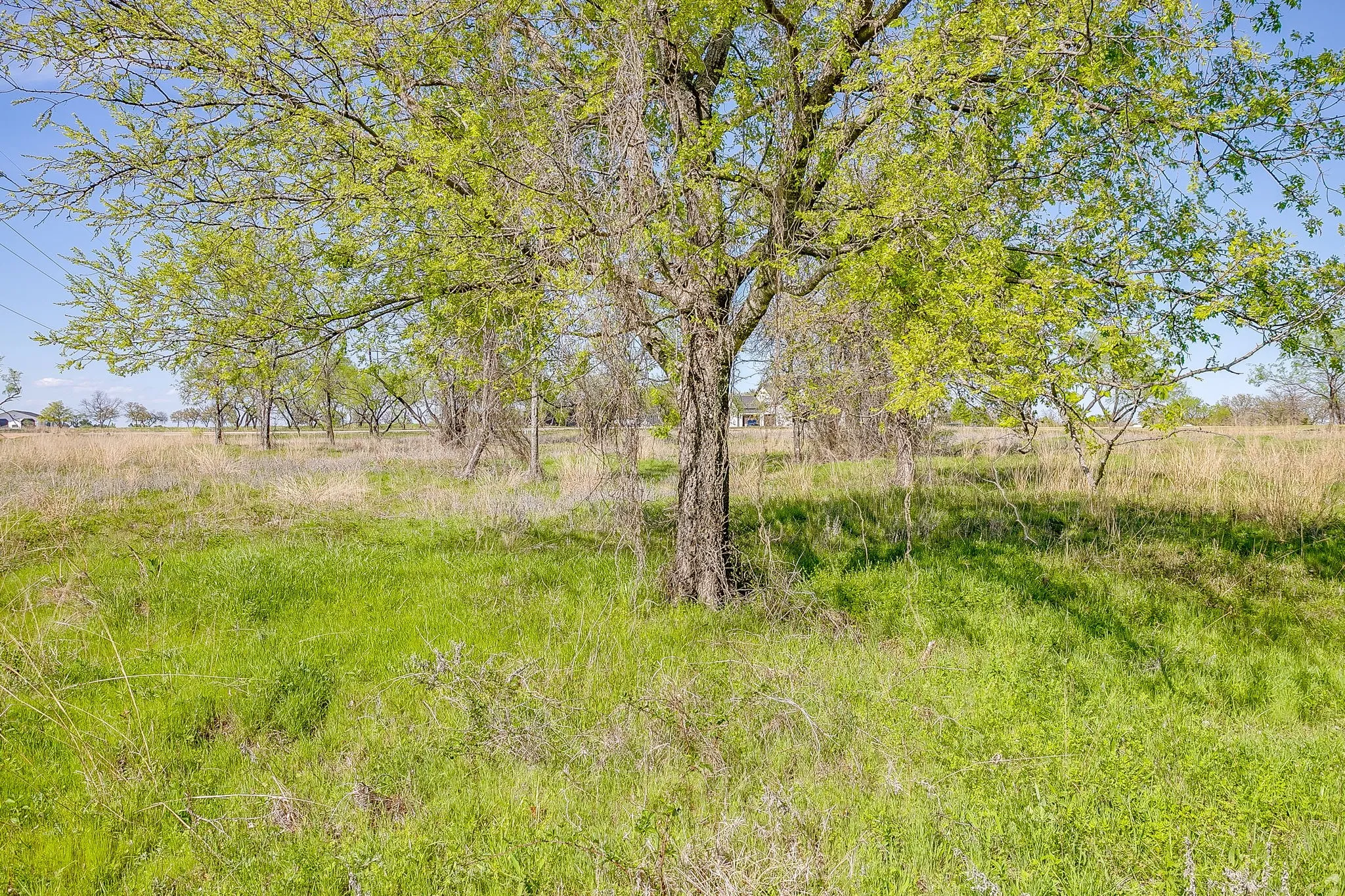 Unimproved Land For Sale in Parker County , 113 Dan Russell Bend, Weatherford, Texas 76087, 0, 0, Garage spaces, 0 Sqft, built in 0, mls#21370737, Real Estate Agent in Weatherford, Homes For Sale in Parker county, Homes For Sale in Weatherford, Realtor in Weatherford Texas, Real Estate Brokerage Independent Realty Texas, Luminita Cordes Realtor