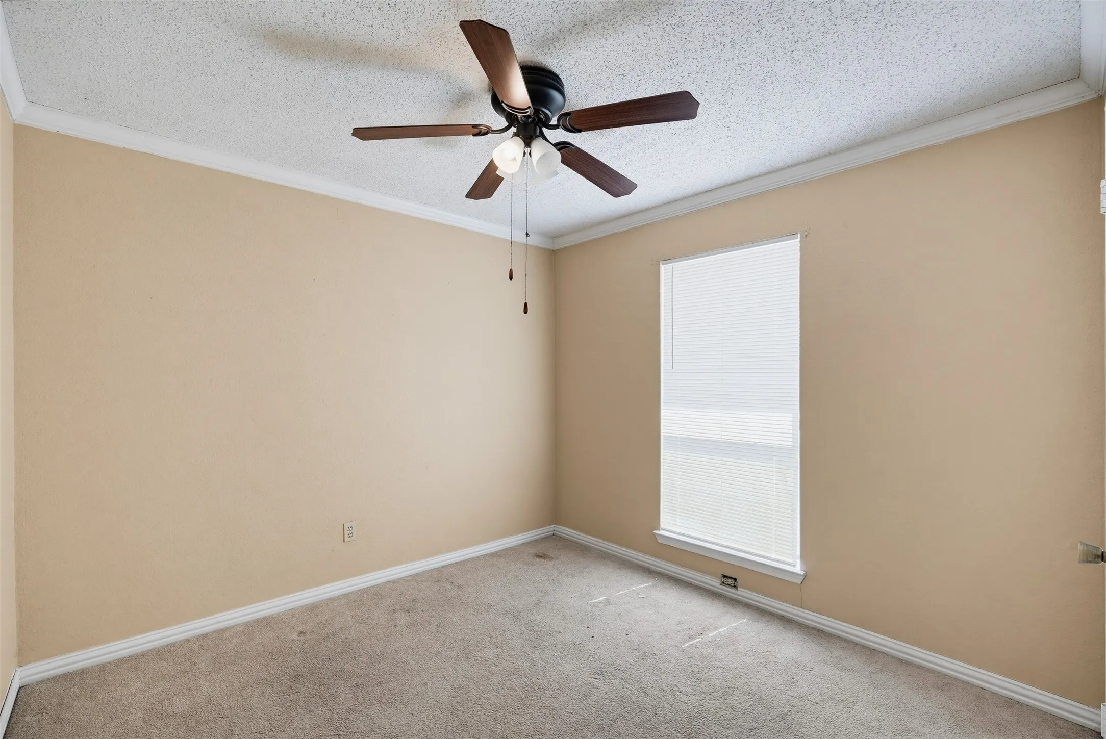Single window with white blinds, crown molding, and ceiling fan with integrated lighting