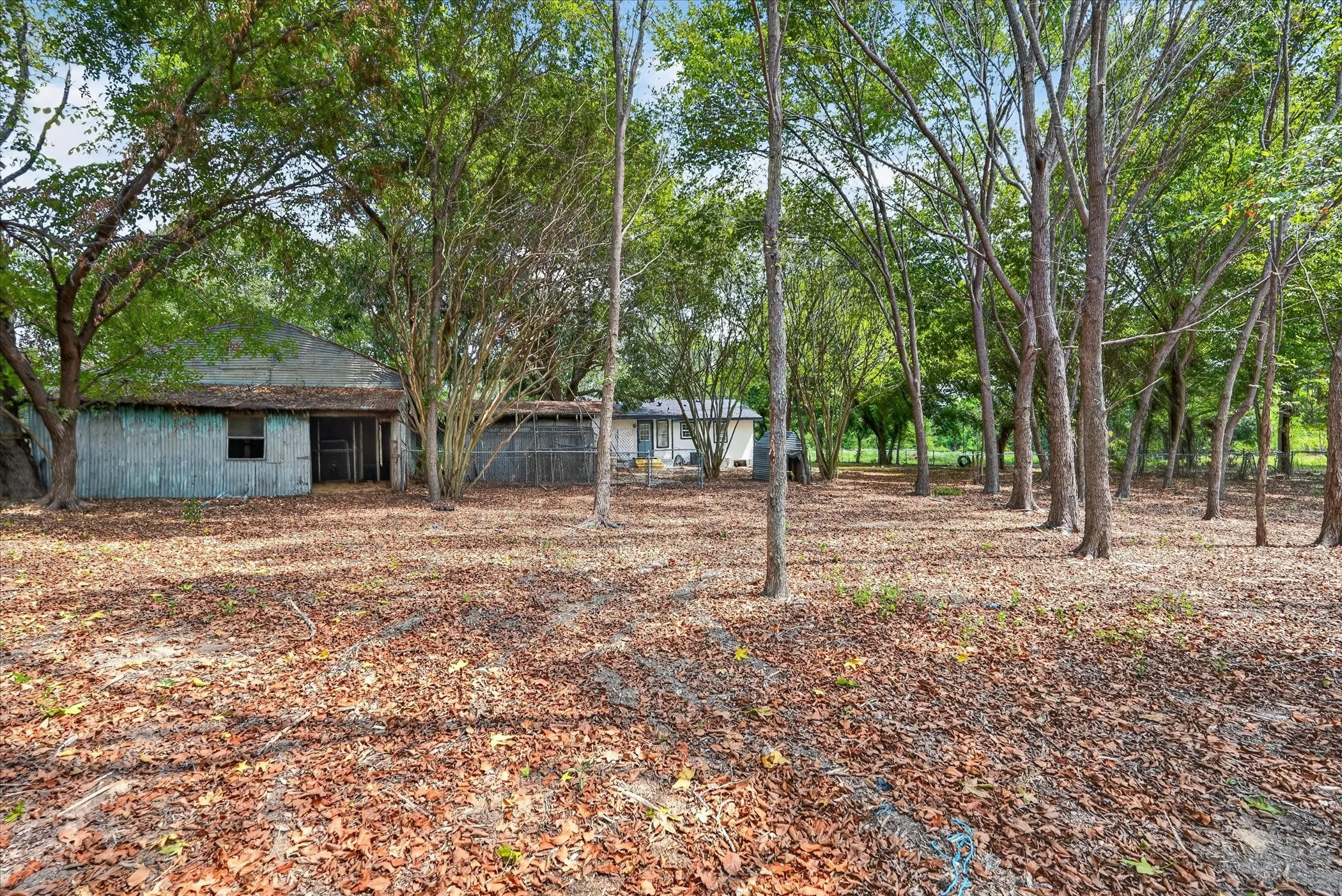Mature trees defining the property perimeter and interior