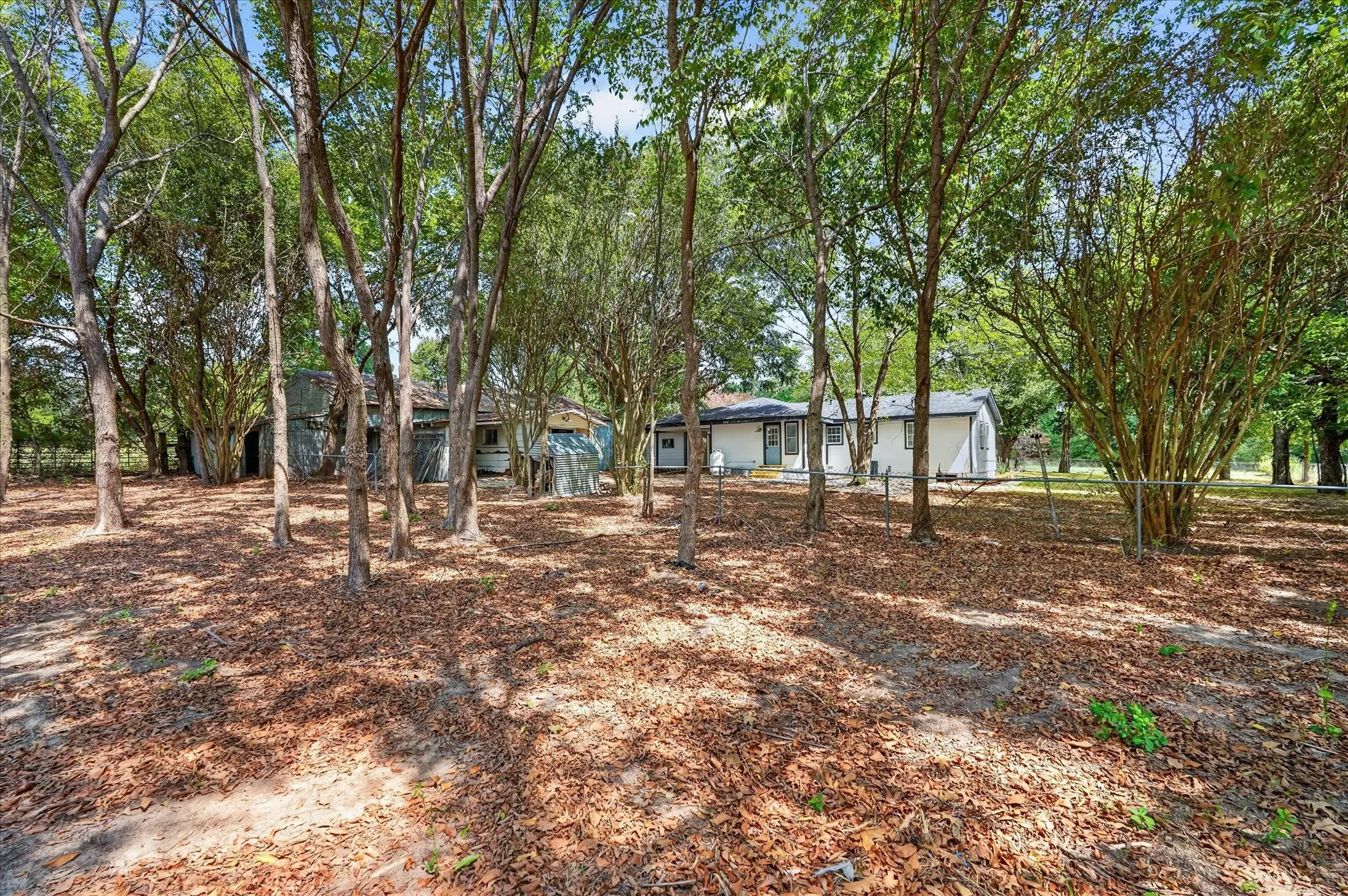 Mature trees defining the property perimeter and interior