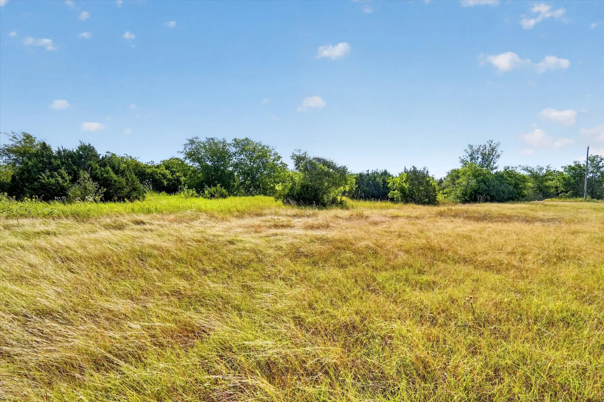Unimproved Land For Sale in Hill County , HCR 1195, Blum, Texas 76627, 0, 0, Garage spaces, 0 Sqft, built in 0, mls#21369799, Real Estate Agent in Blum, Homes For Sale in Hill county, Homes For Sale in Blum, Realtor in Blum Texas, Real Estate Brokerage Independent Realty Texas, Luminita Cordes Realtor