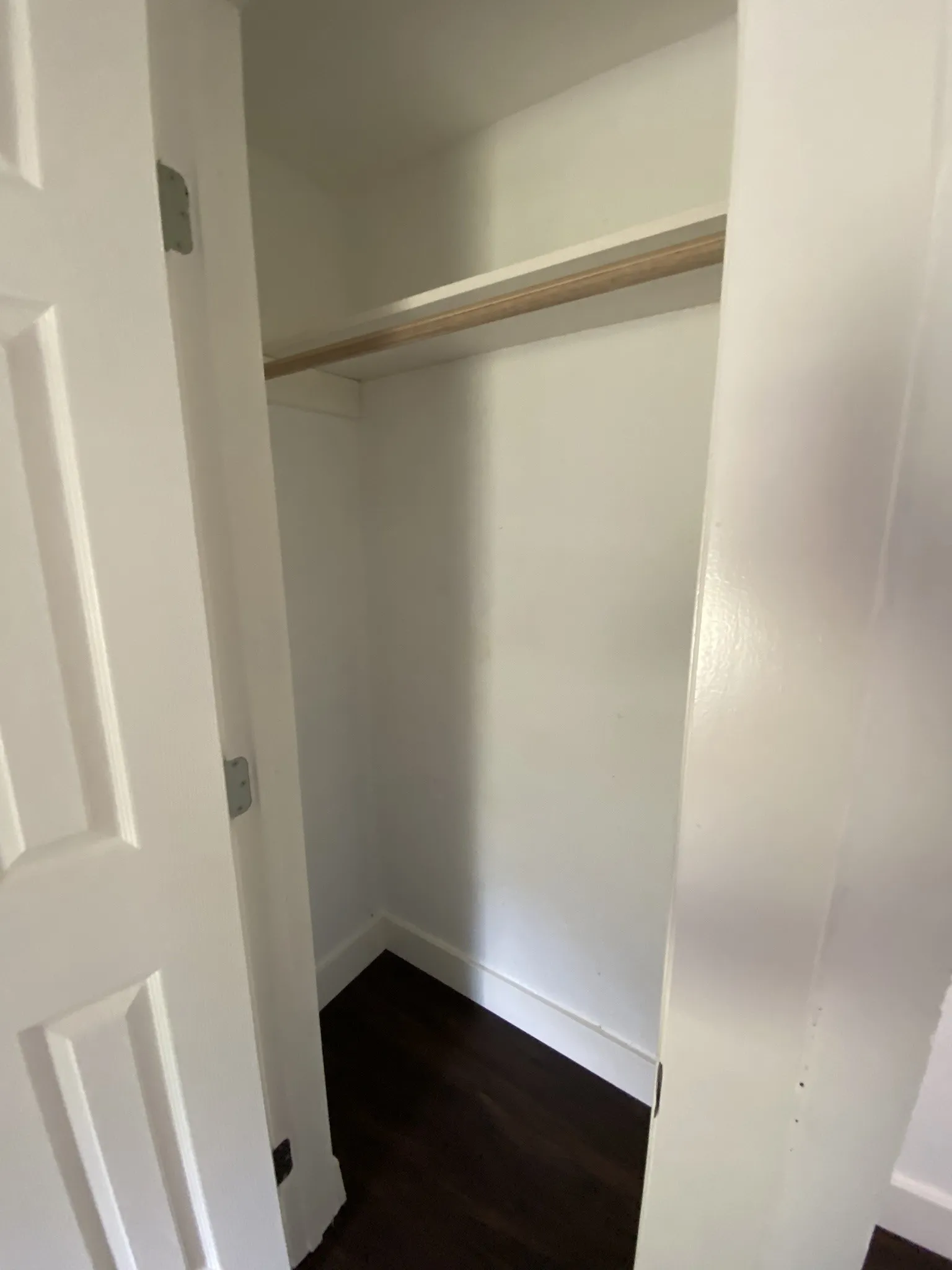 White closet interior with a single shelf, wood-finish hanging rod, and dark wood-finish flooring