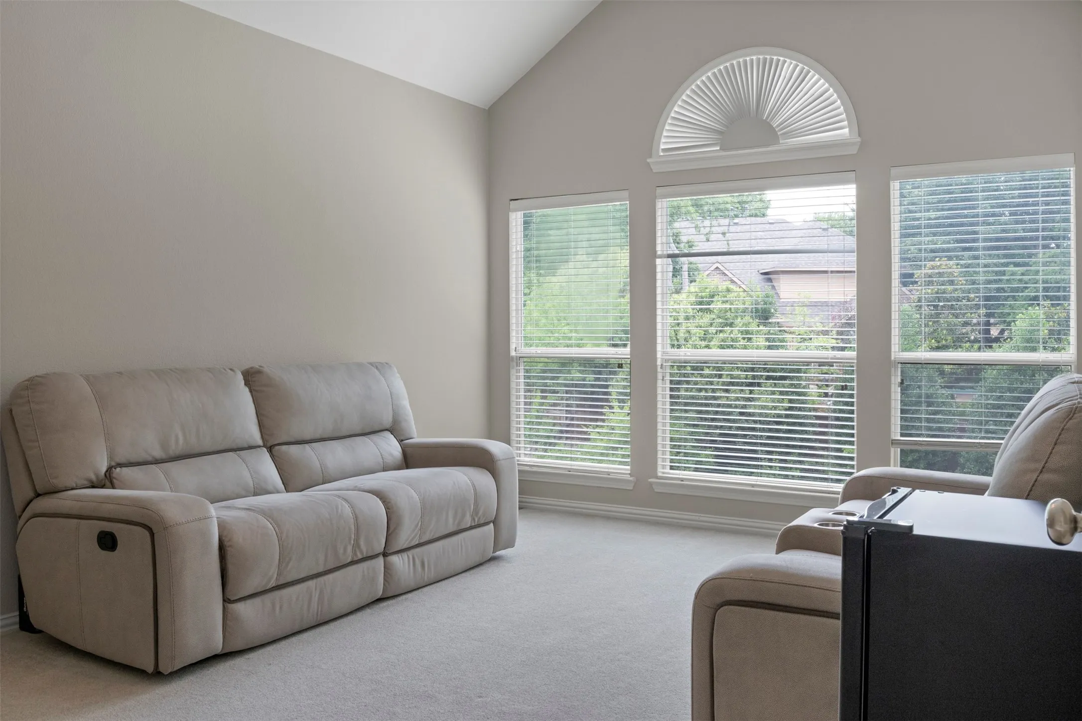 Vaulted ceiling, arched transom window, two vertical windows, and light-toned wall paint