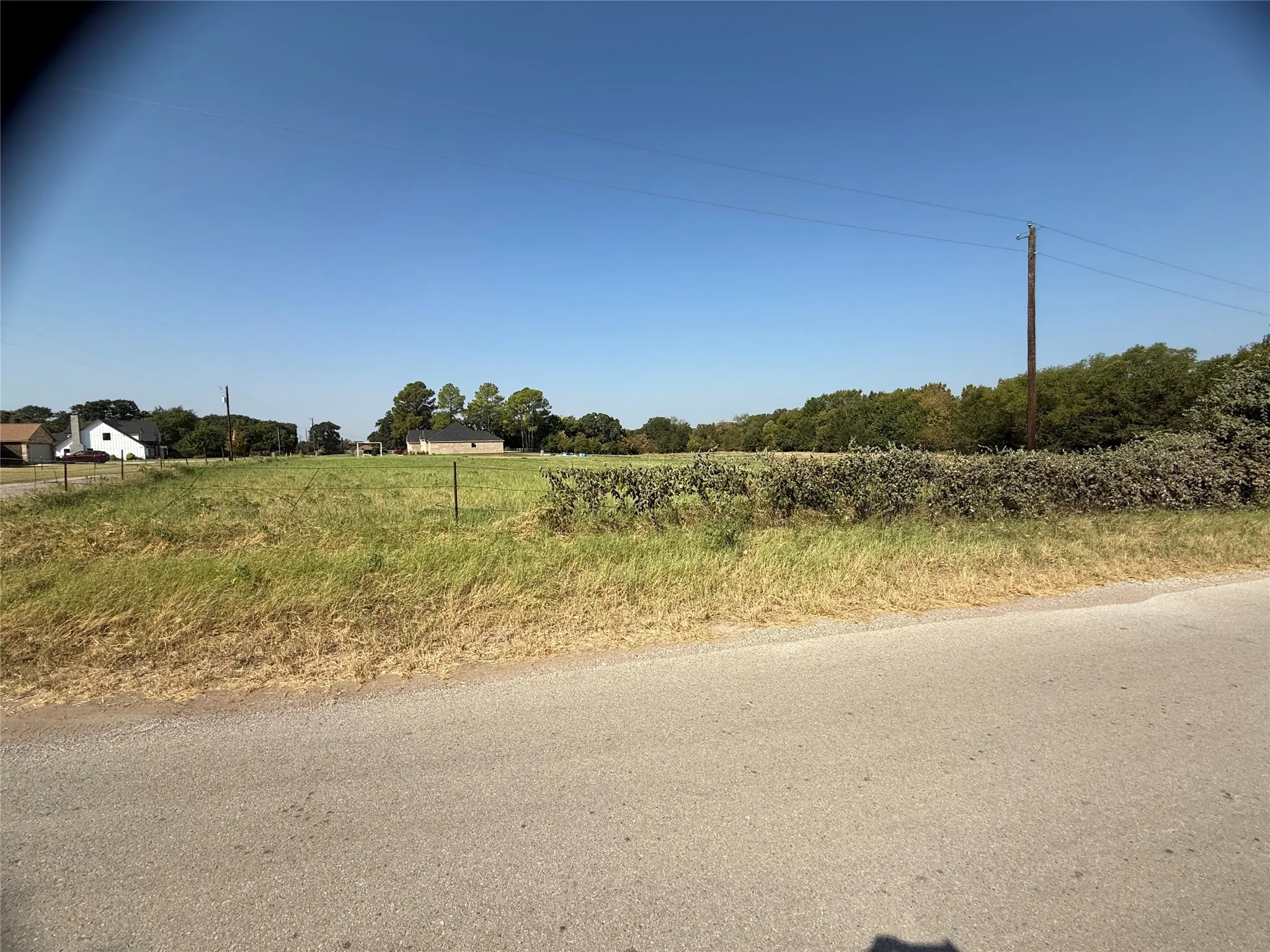 Expansive open land with established road frontage, mature trees, and clear sky