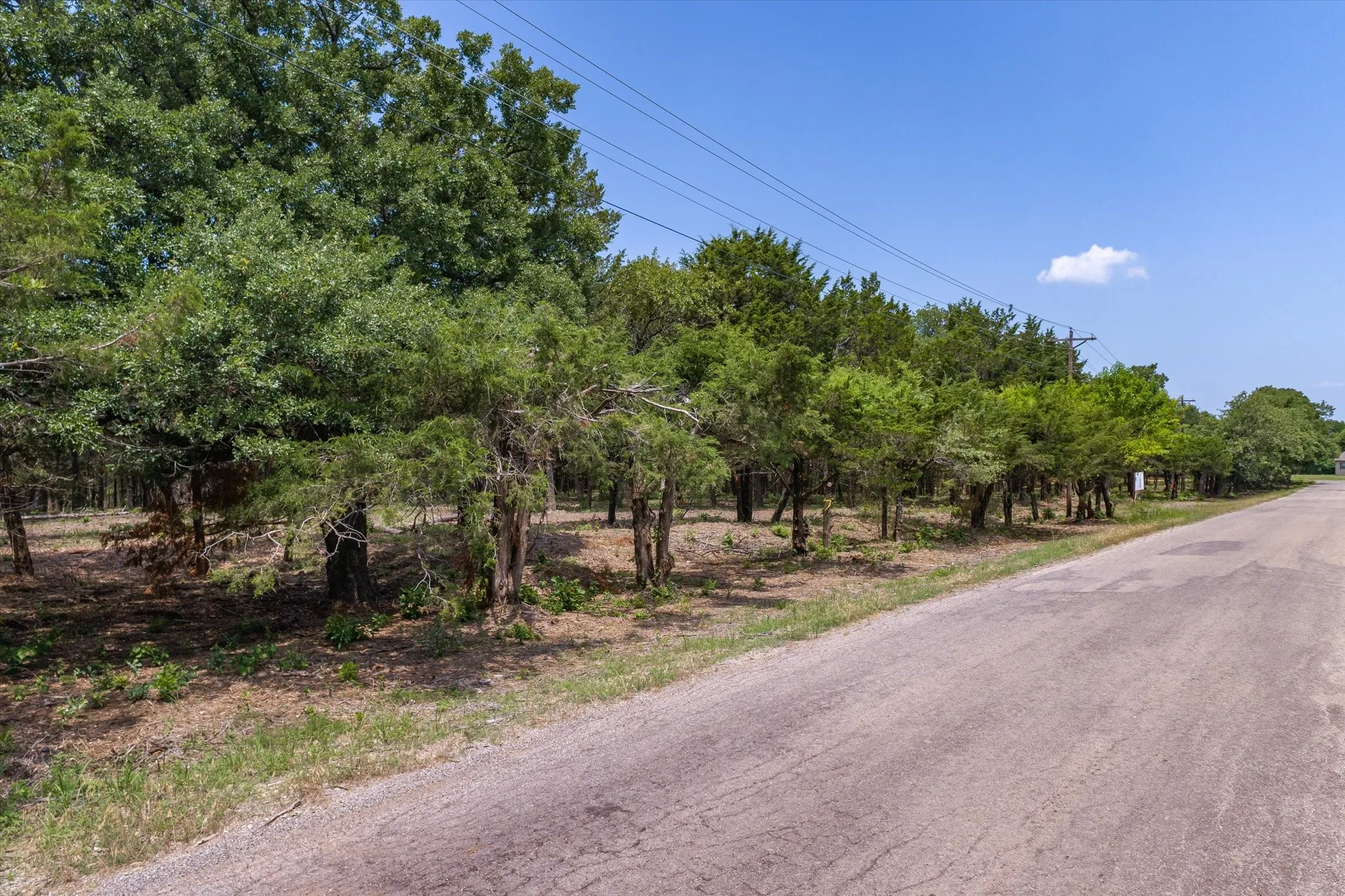 Unimproved Land For Sale in Hunt County , 4423 County Road 3706, Wills Point, Texas 75169, 0, 0, Garage spaces, 0 Sqft, built in 0, mls#21370958, Real Estate Agent in Wills Point, Homes For Sale in Hunt county, Homes For Sale in Wills Point, Realtor in Wills Point Texas, Real Estate Brokerage Independent Realty Texas, Luminita Cordes Realtor