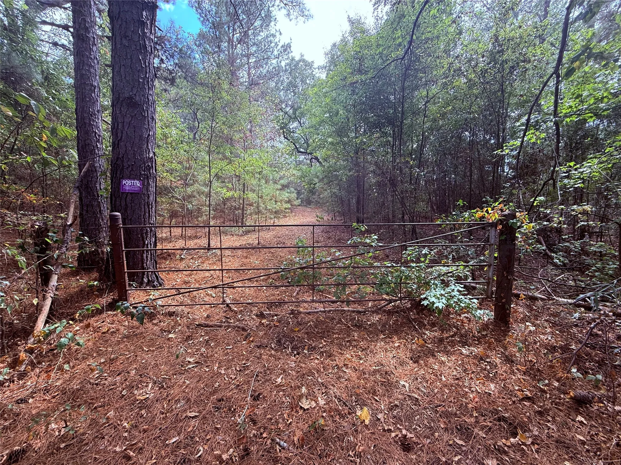 Unimproved Land For Sale in Wood County , TBD FM 312, Winnsboro, Texas 75494, 0, 0, Garage spaces, 0 Sqft, built in 0, mls#21370905, Real Estate Agent in Winnsboro, Homes For Sale in Wood county, Homes For Sale in Winnsboro, Realtor in Winnsboro Texas, Real Estate Brokerage Independent Realty Texas, Luminita Cordes Realtor