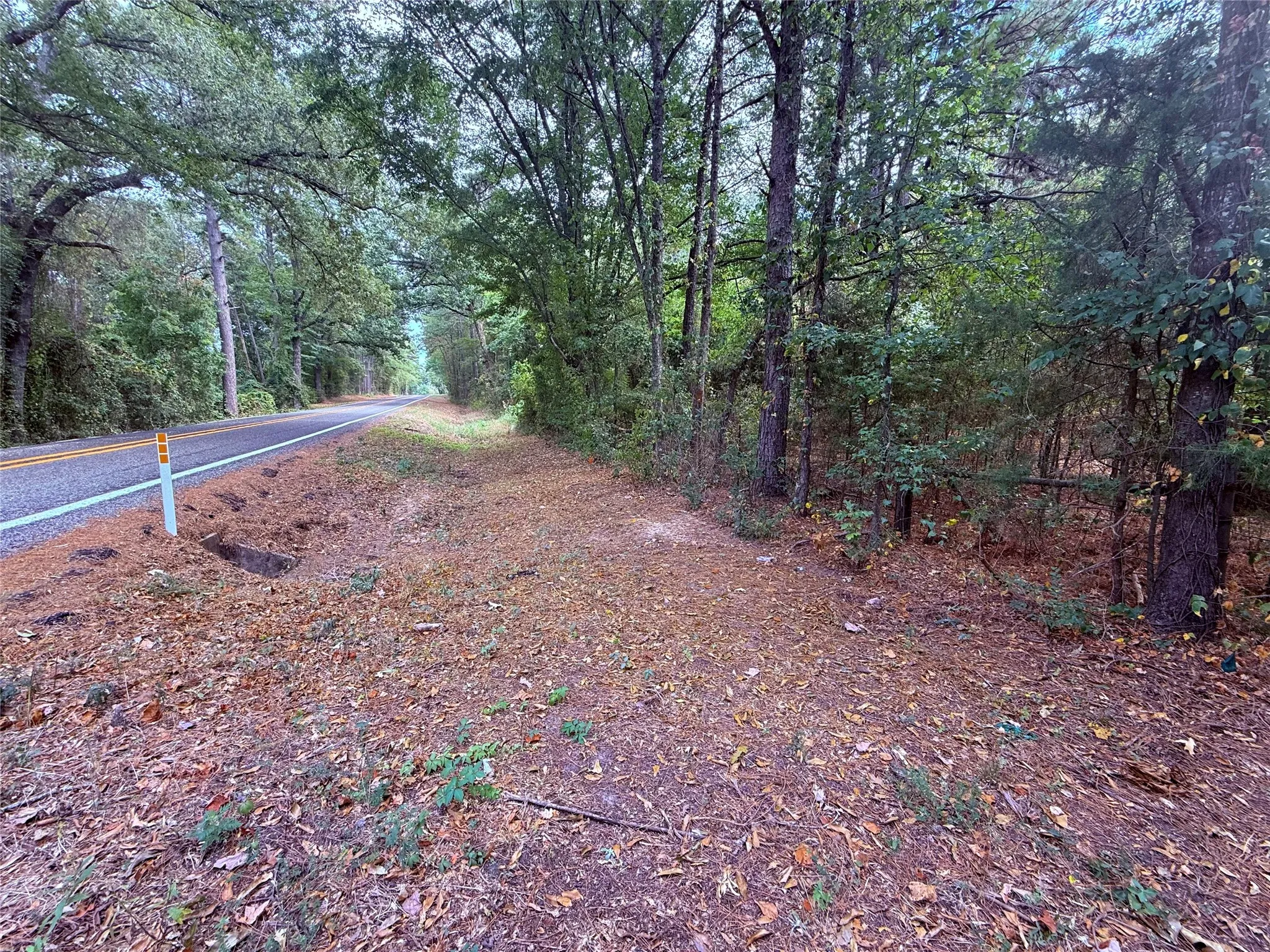 Unimproved Land For Sale in Wood County , TBD FM 312, Winnsboro, Texas 75494, 0, 0, Garage spaces, 0 Sqft, built in 0, mls#21370905, Real Estate Agent in Winnsboro, Homes For Sale in Wood county, Homes For Sale in Winnsboro, Realtor in Winnsboro Texas, Real Estate Brokerage Independent Realty Texas, Luminita Cordes Realtor