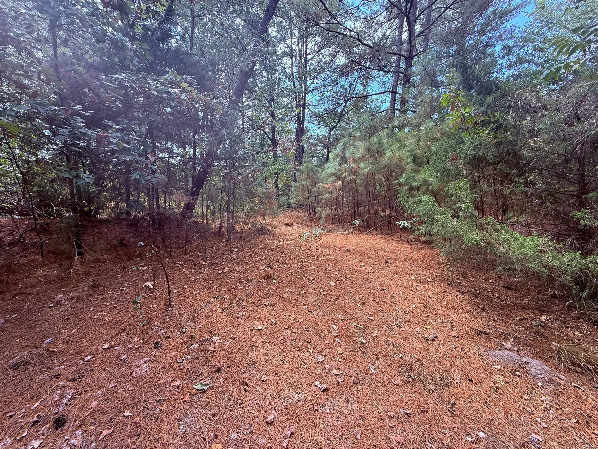 Unimproved Land For Sale in Wood County , TBD FM 312, Winnsboro, Texas 75494, 0, 0, Garage spaces, 0 Sqft, built in 0, mls#21370905, Real Estate Agent in Winnsboro, Homes For Sale in Wood county, Homes For Sale in Winnsboro, Realtor in Winnsboro Texas, Real Estate Brokerage Independent Realty Texas, Luminita Cordes Realtor