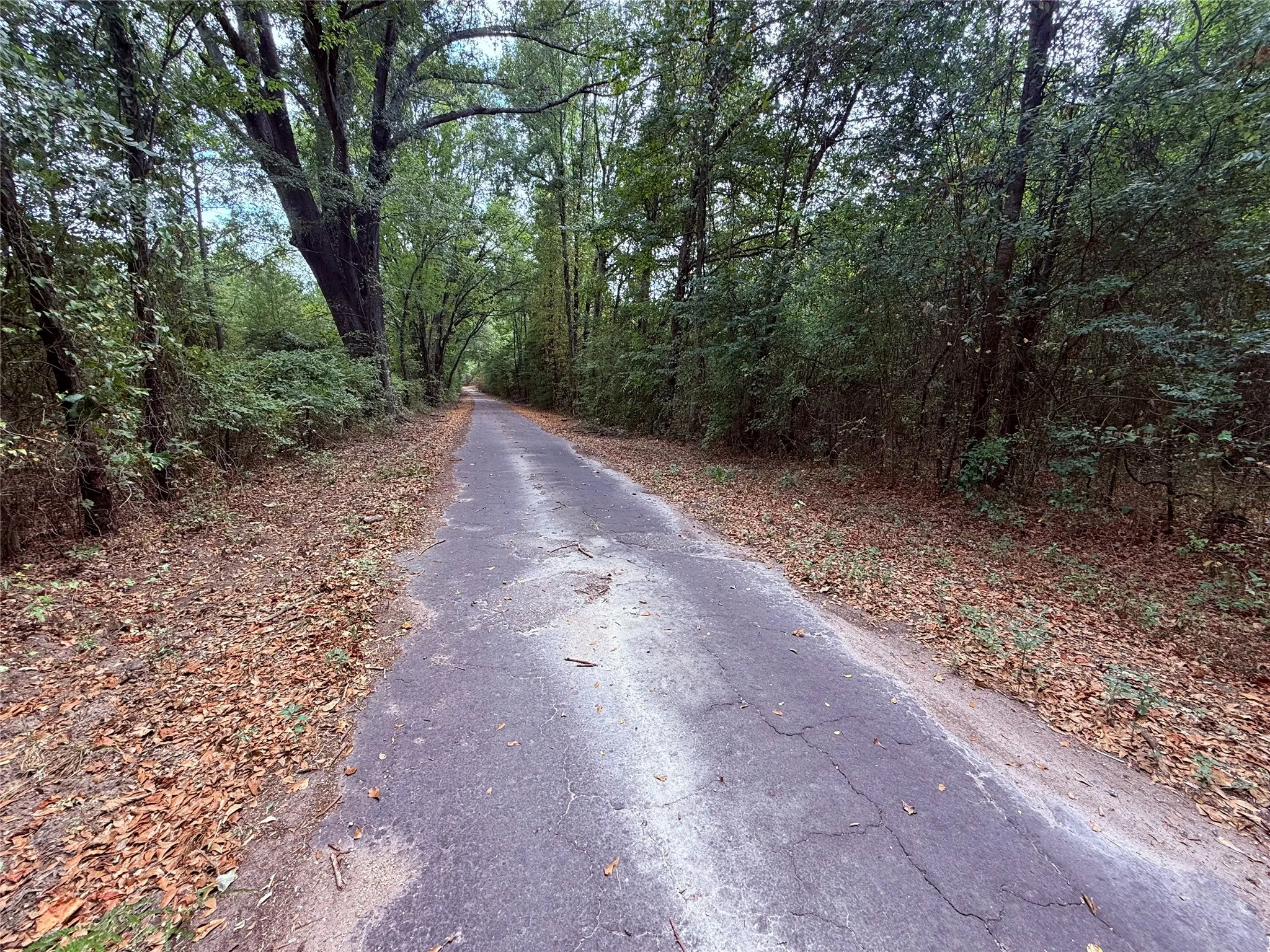 Unimproved Land For Sale in Wood County , TBD FM 312, Winnsboro, Texas 75494, 0, 0, Garage spaces, 0 Sqft, built in 0, mls#21370905, Real Estate Agent in Winnsboro, Homes For Sale in Wood county, Homes For Sale in Winnsboro, Realtor in Winnsboro Texas, Real Estate Brokerage Independent Realty Texas, Luminita Cordes Realtor