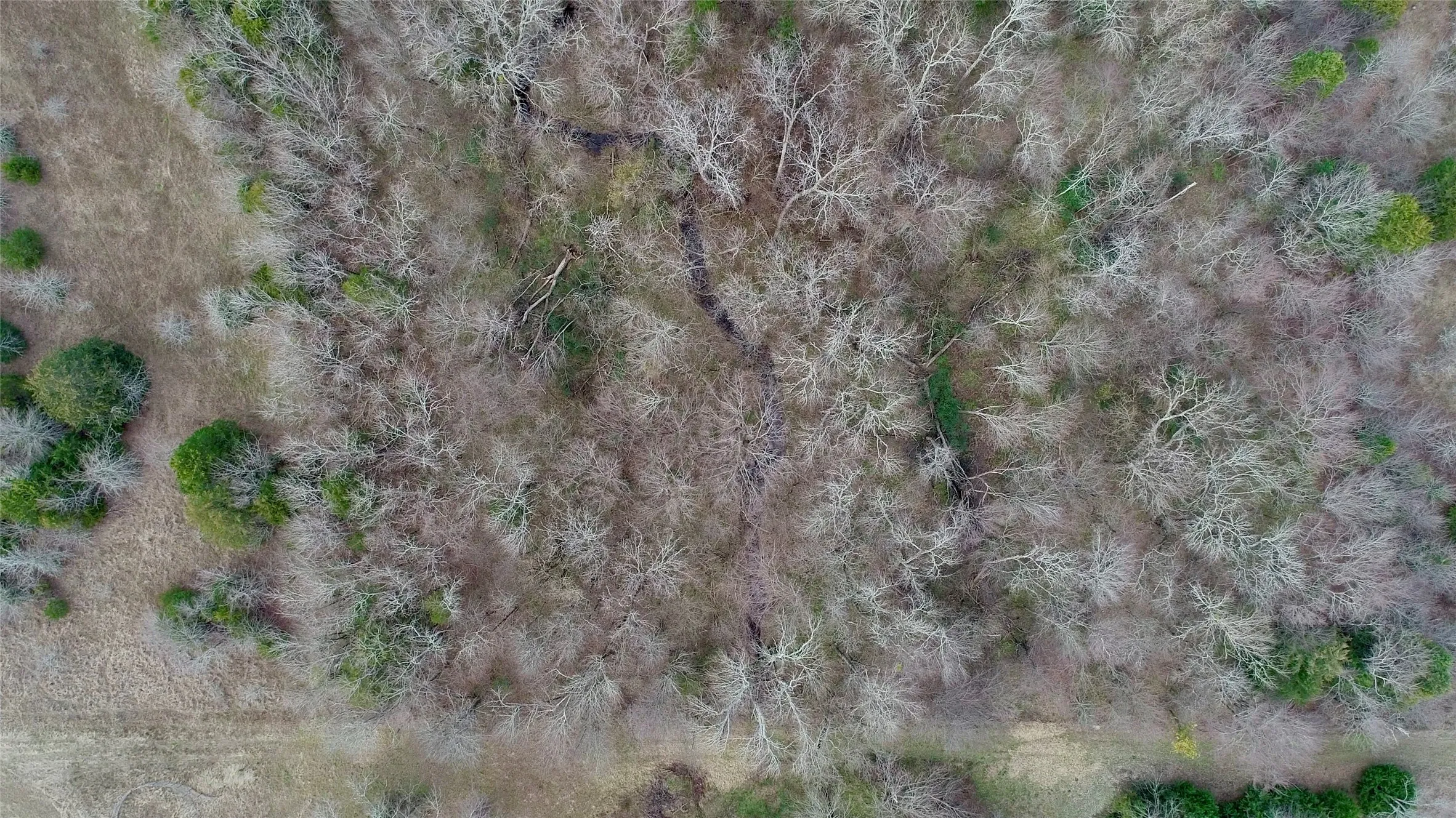 Unimproved Land For Sale in Rains County , TBD Farm to Market 2737, Lone Oak, Texas 75453, 0, 0, Garage spaces, 0 Sqft, built in 0, mls#21370963, Real Estate Agent in Lone Oak, Homes For Sale in Rains county, Homes For Sale in Lone Oak, Realtor in Lone Oak Texas, Real Estate Brokerage Independent Realty Texas, Luminita Cordes Realtor
