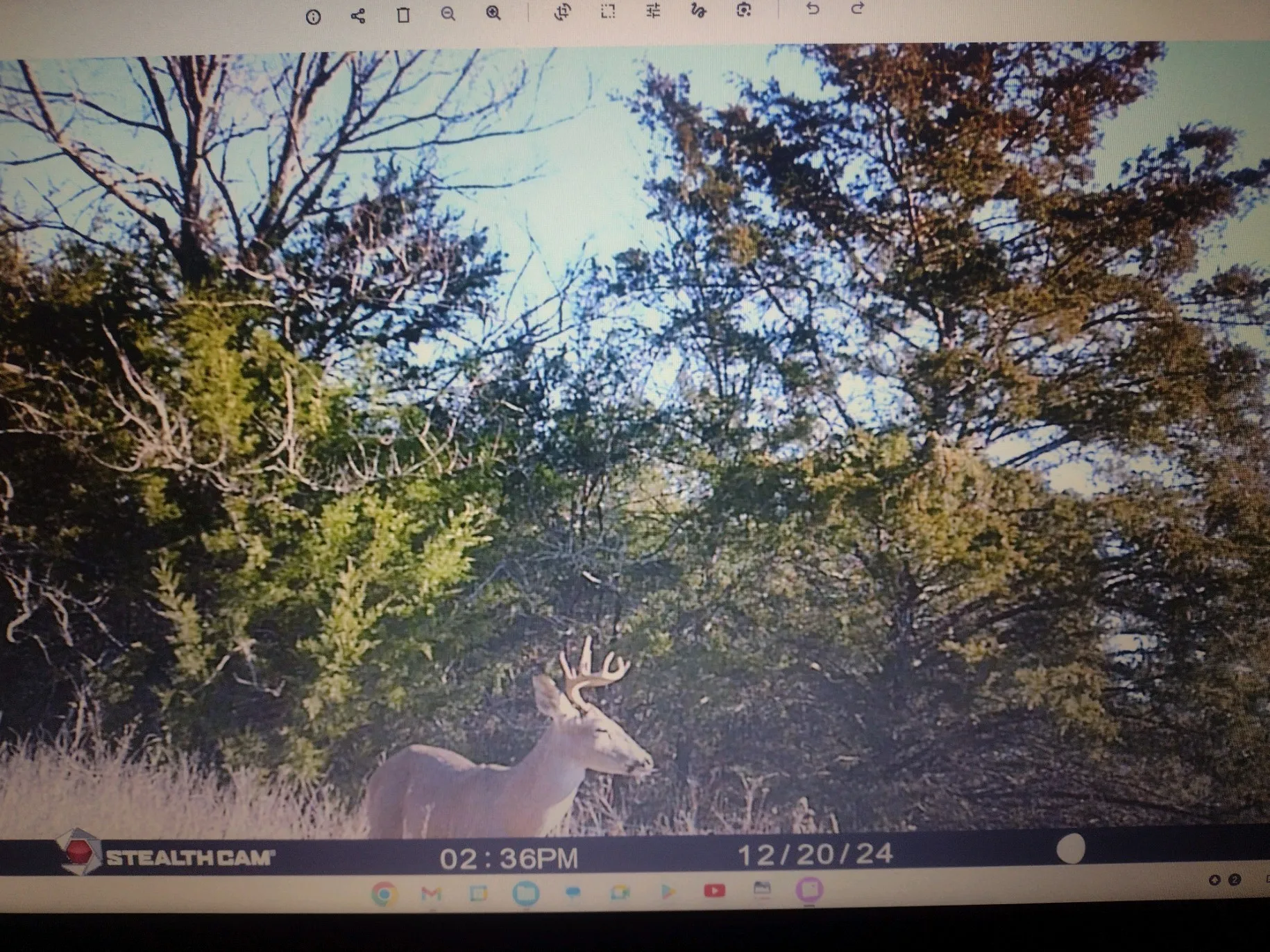 Unimproved Land For Sale in Rains County , TBD Farm to Market 2737, Lone Oak, Texas 75453, 0, 0, Garage spaces, 0 Sqft, built in 0, mls#21370963, Real Estate Agent in Lone Oak, Homes For Sale in Rains county, Homes For Sale in Lone Oak, Realtor in Lone Oak Texas, Real Estate Brokerage Independent Realty Texas, Luminita Cordes Realtor