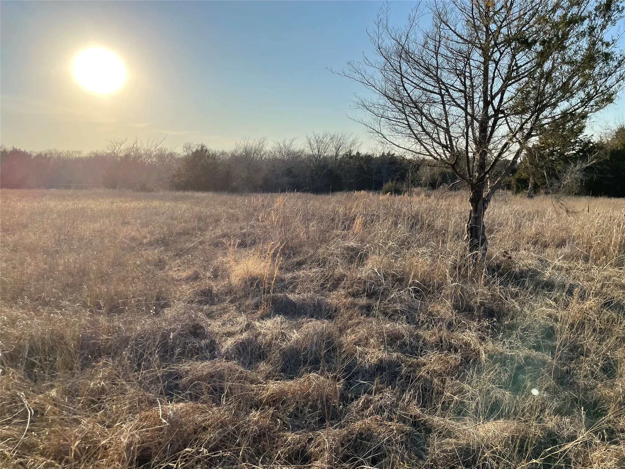 Unimproved Land For Sale in Rains County , TBD Farm to Market 2737, Lone Oak, Texas 75453, 0, 0, Garage spaces, 0 Sqft, built in 0, mls#21370963, Real Estate Agent in Lone Oak, Homes For Sale in Rains county, Homes For Sale in Lone Oak, Realtor in Lone Oak Texas, Real Estate Brokerage Independent Realty Texas, Luminita Cordes Realtor