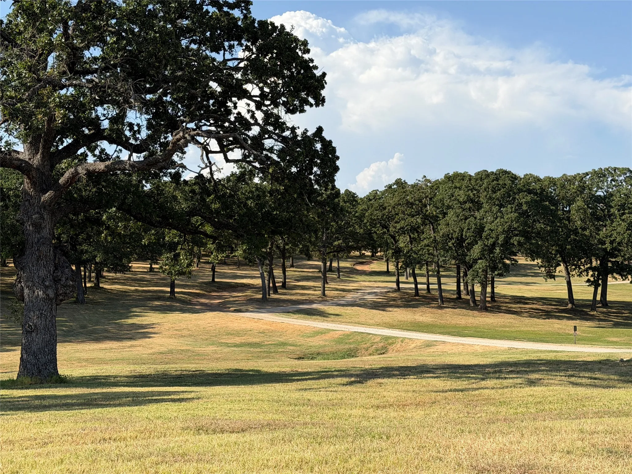 Scenic landscaped areas throughout Rock Creek Resort