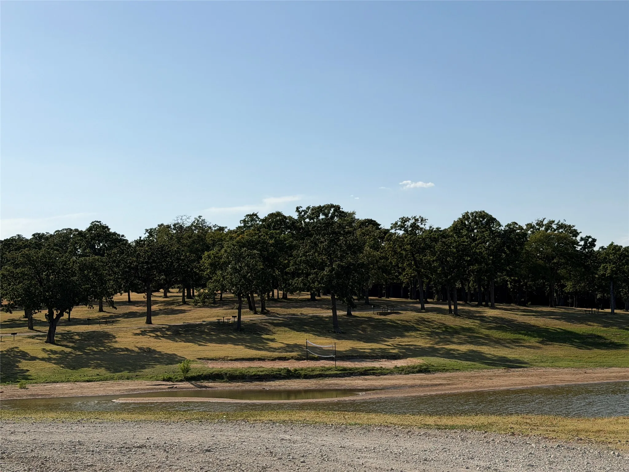 Expansive community green space with mature trees
