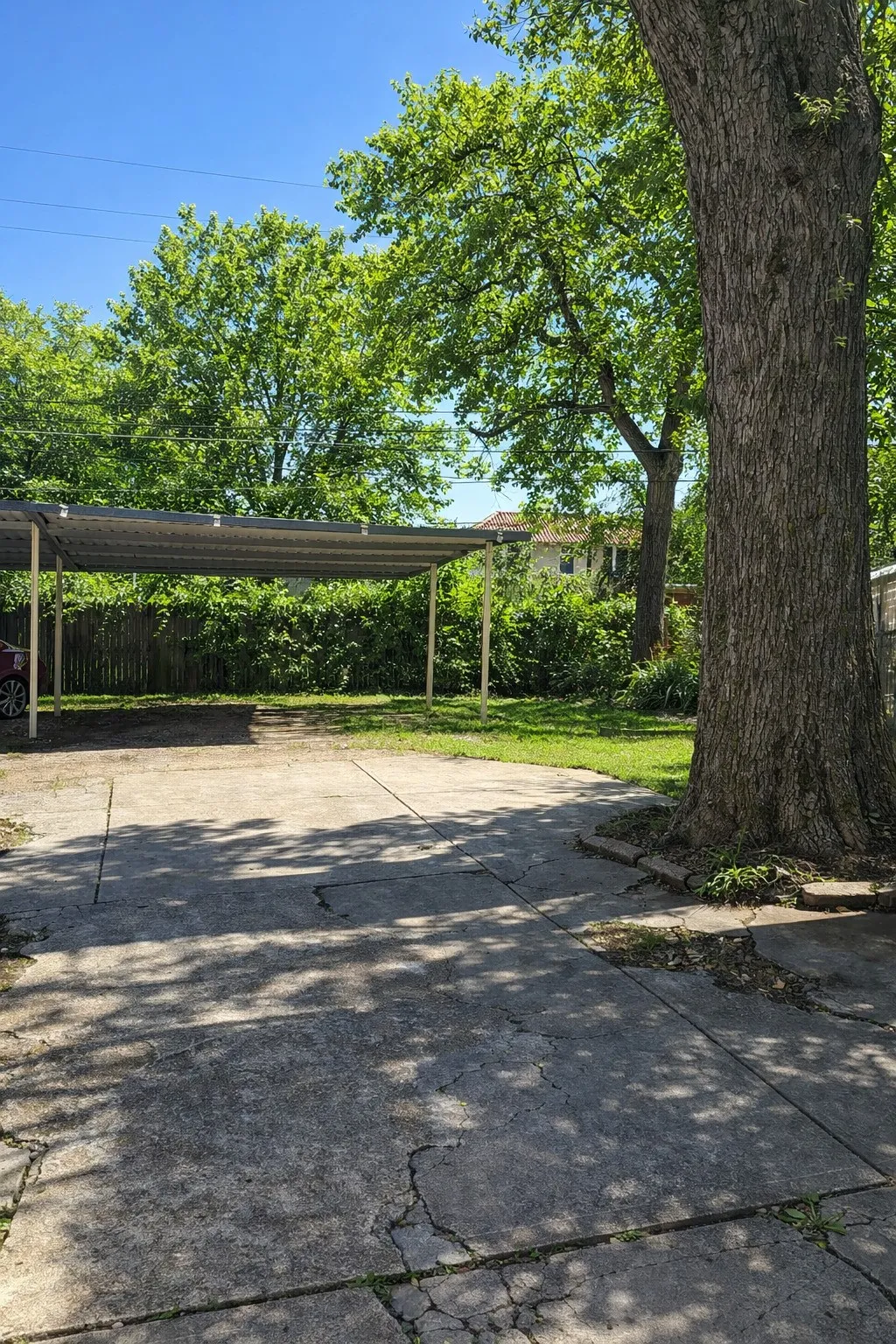Large backyard for lots of activities.